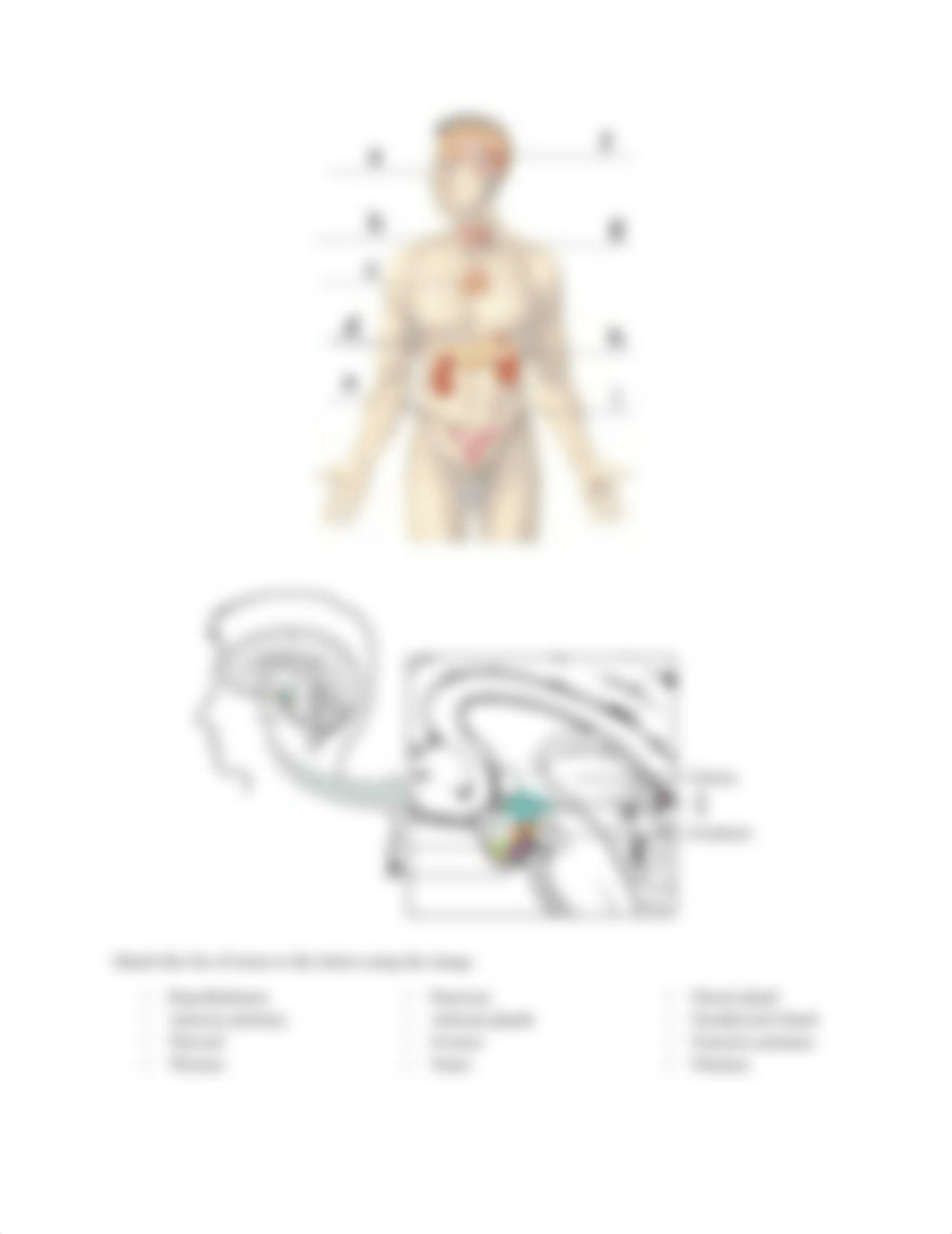 SC144 Unit 3 Lab Assignment_Form.docx_d63u3mdls1j_page4