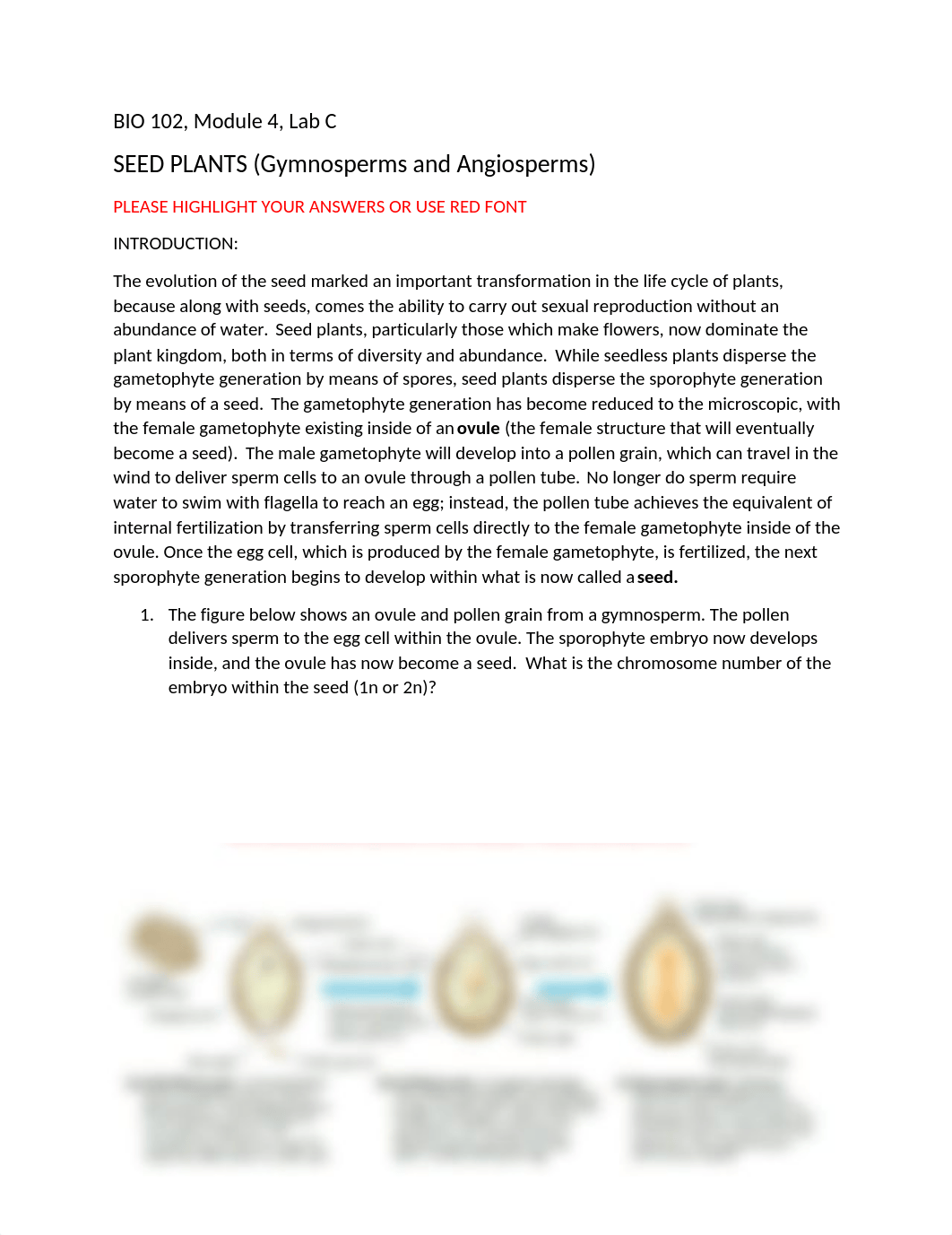 Bio 102, Lab 4C, Seed Plants.docx_d640dtmx1dx_page1