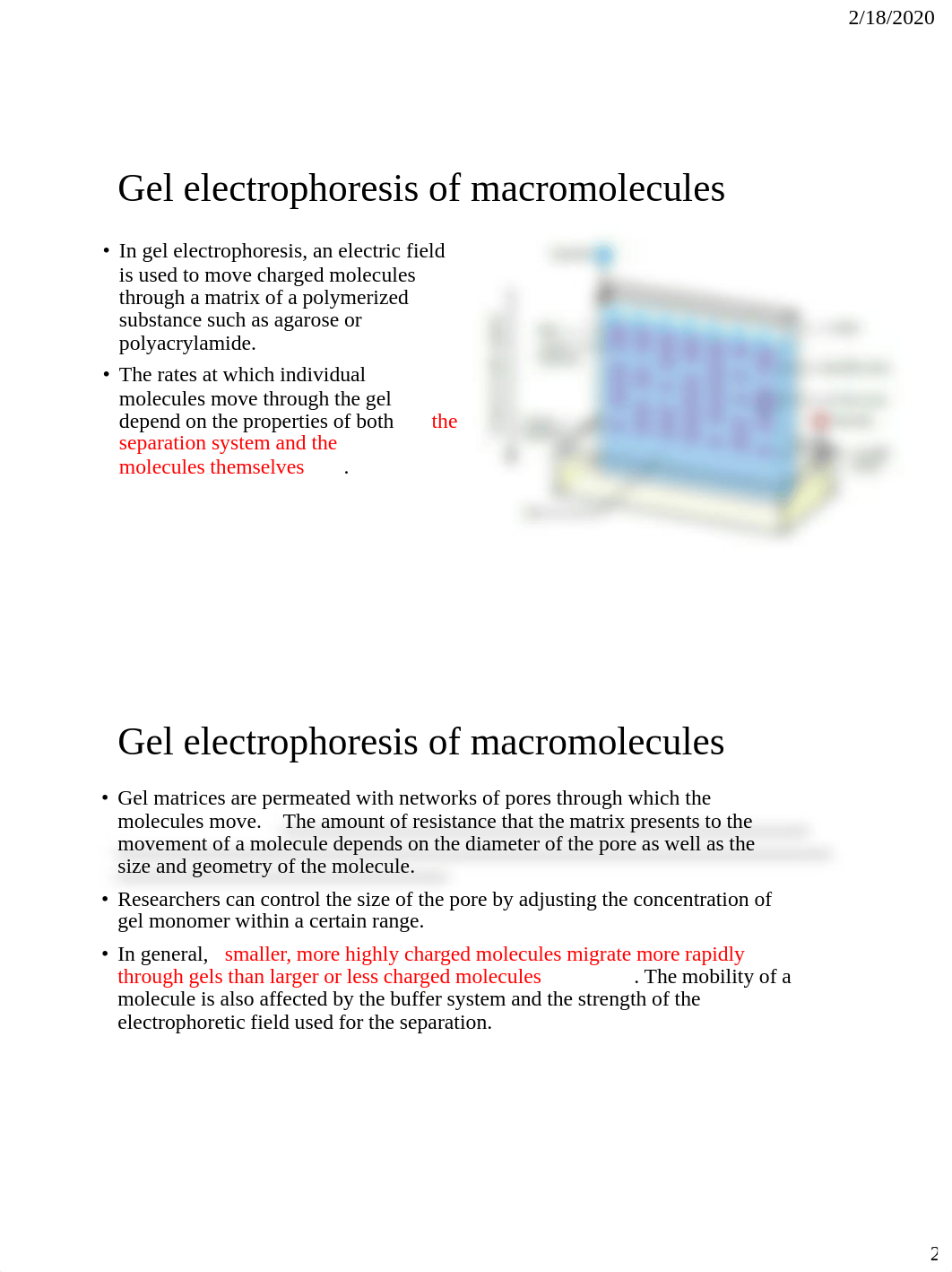 Lab 4 SDS-PAGE.pdf_d648s8ugupa_page2