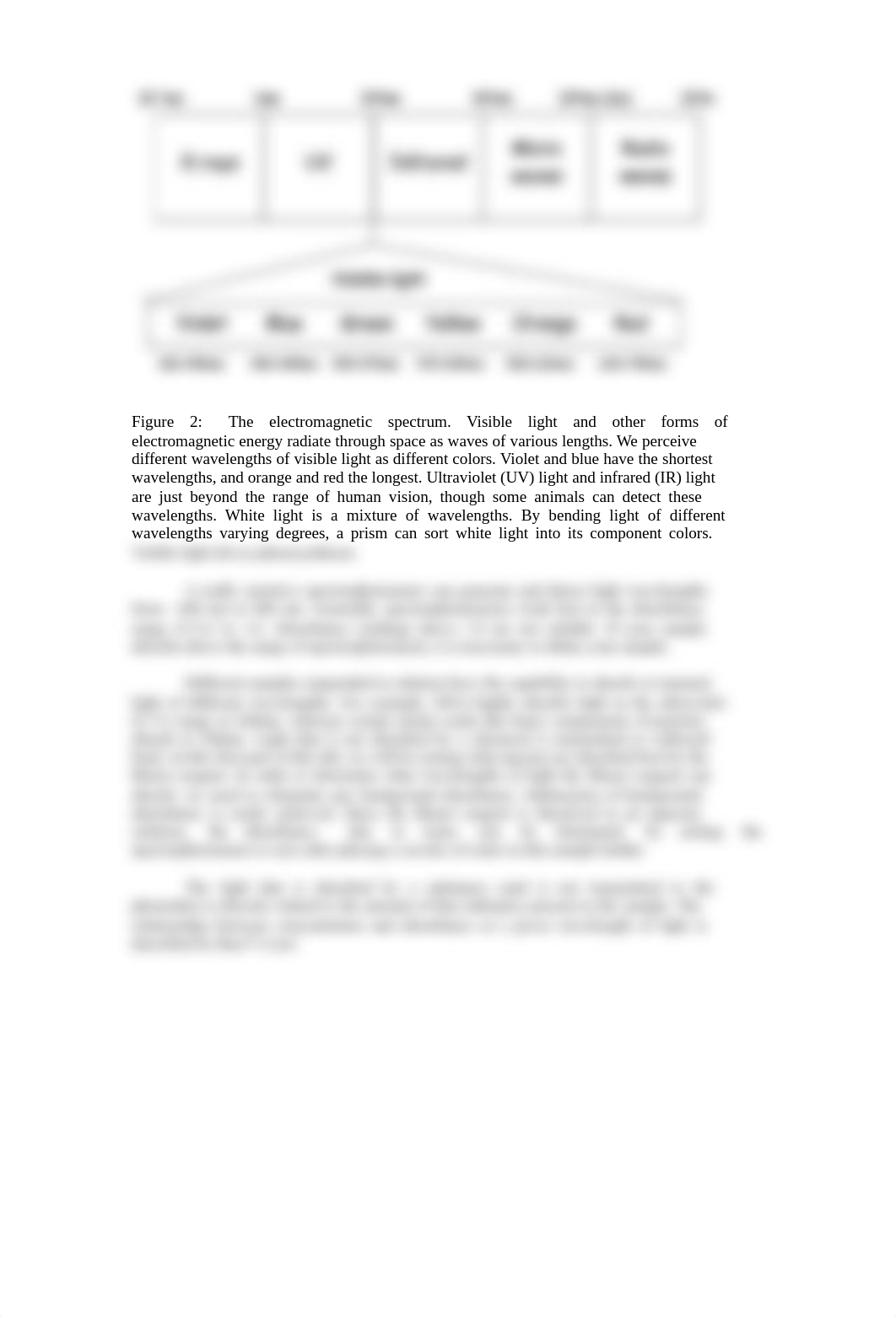 BIOL 211 Lab 3 Spectroscopy.pdf_d64fyib0jpd_page2