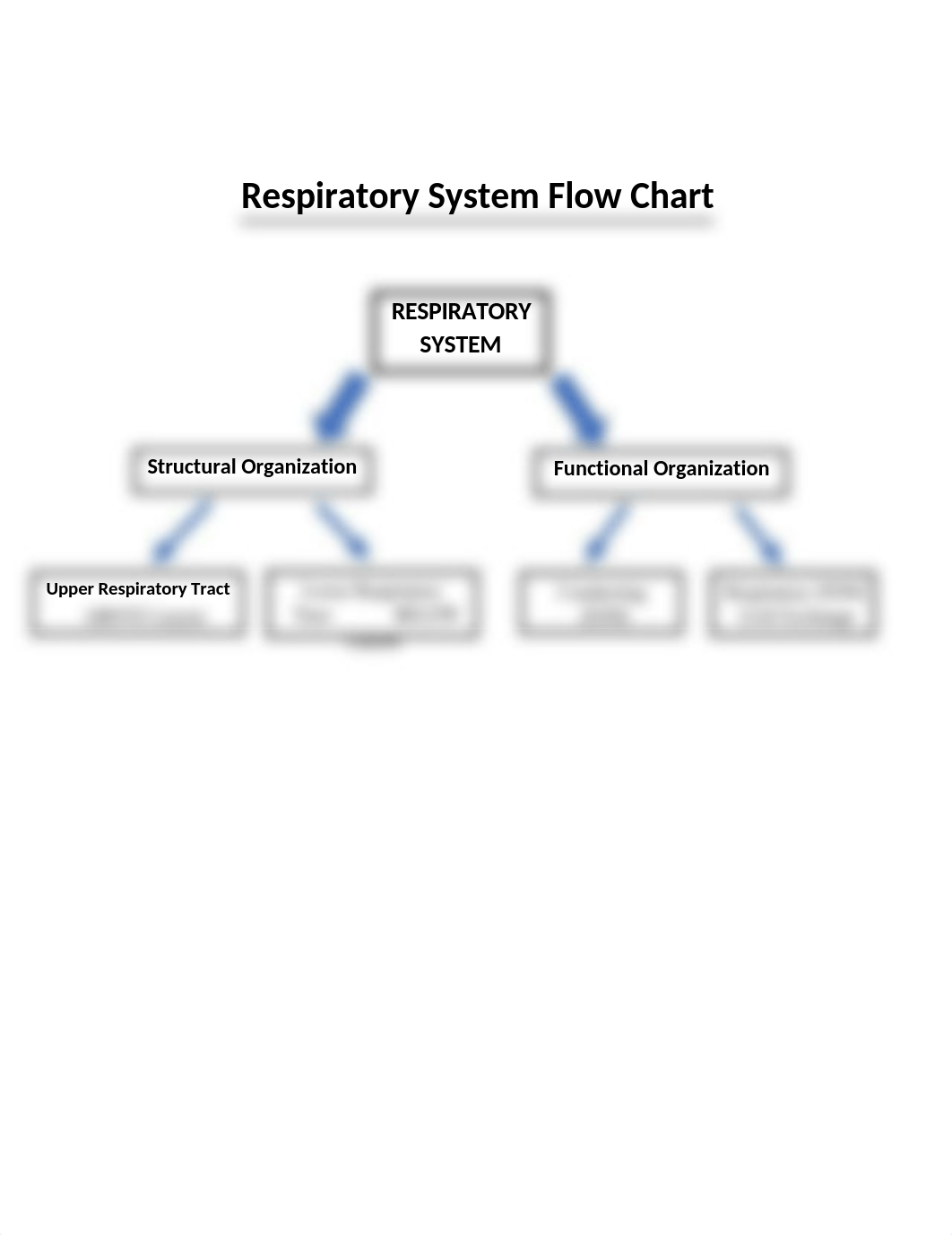 Respiratory System Flow Chart.docx_d64mhz7nejd_page1