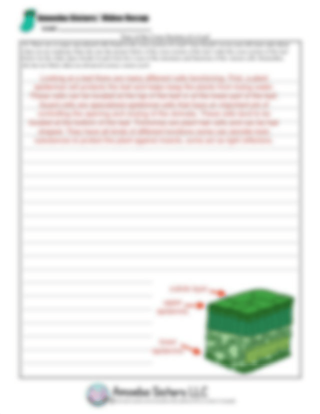 SELECT Specialized Cells Recap by Amoeba Sisters.pdf_d64npammeku_page2