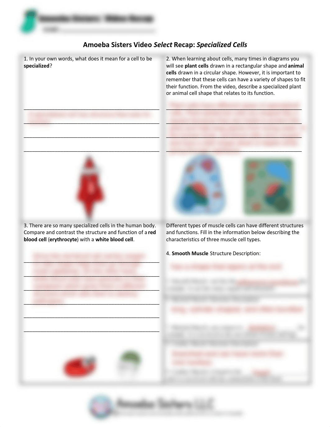 SELECT Specialized Cells Recap by Amoeba Sisters.pdf_d64npammeku_page1