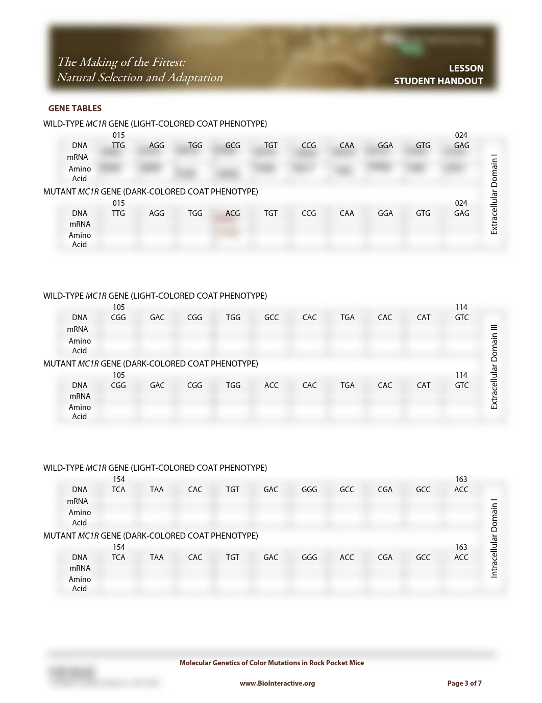 Activity 7 (1).pdf_d64rwcz8pfz_page1