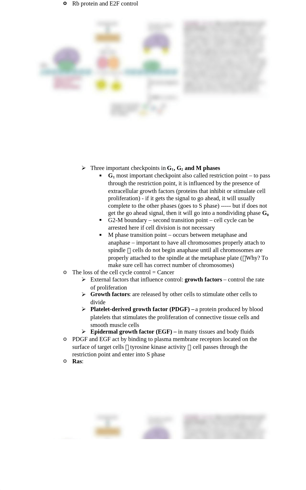 Study Guide Final.docx_d64yqtmyb3a_page2