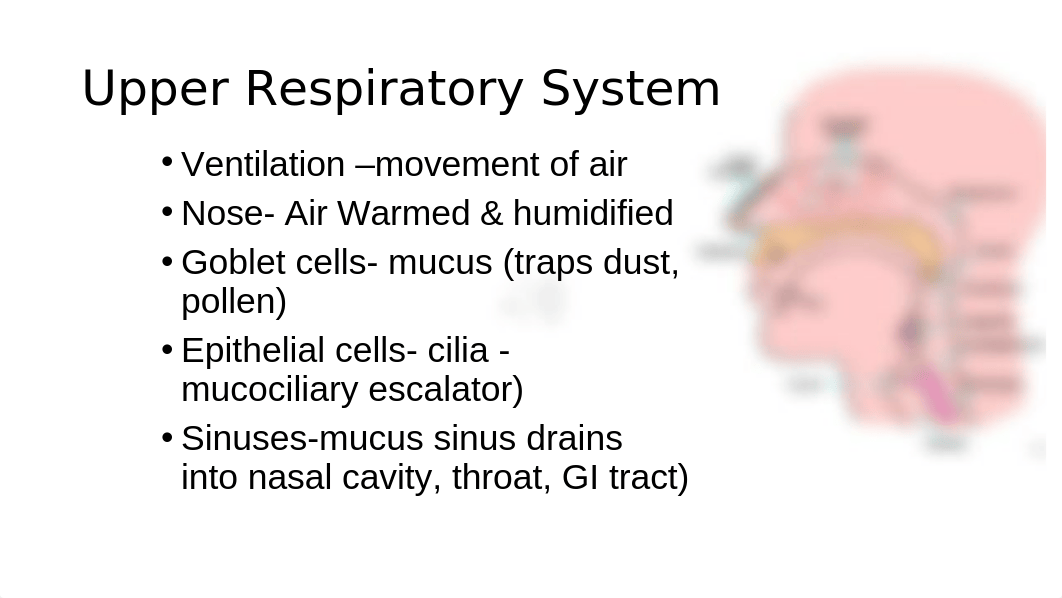 6AUDIO2020ModifiedRespiratory (1).ppt_d654pjmpxed_page5