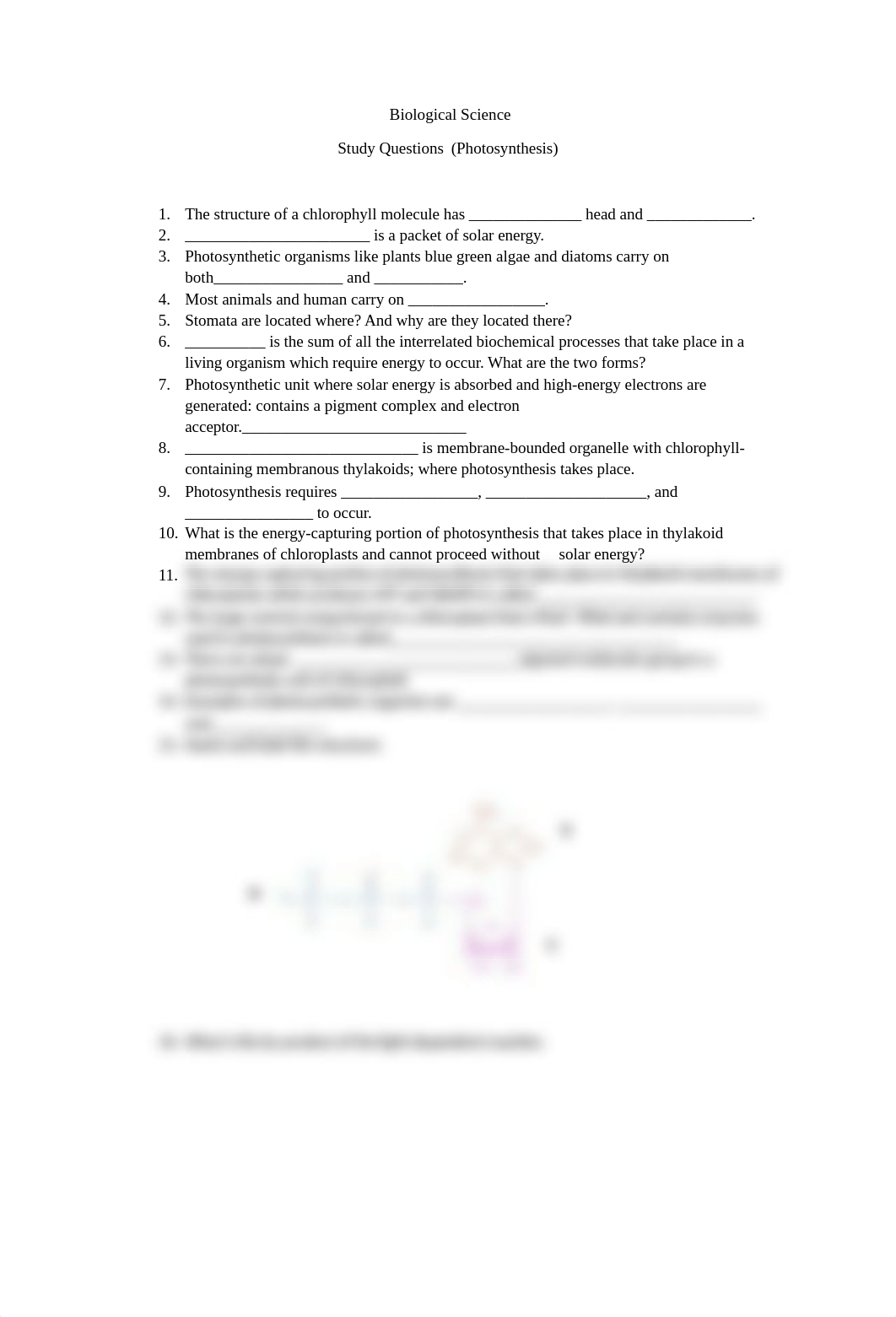 Biological Study Questions-Photosynthesis.docx_d65970n5gi3_page1