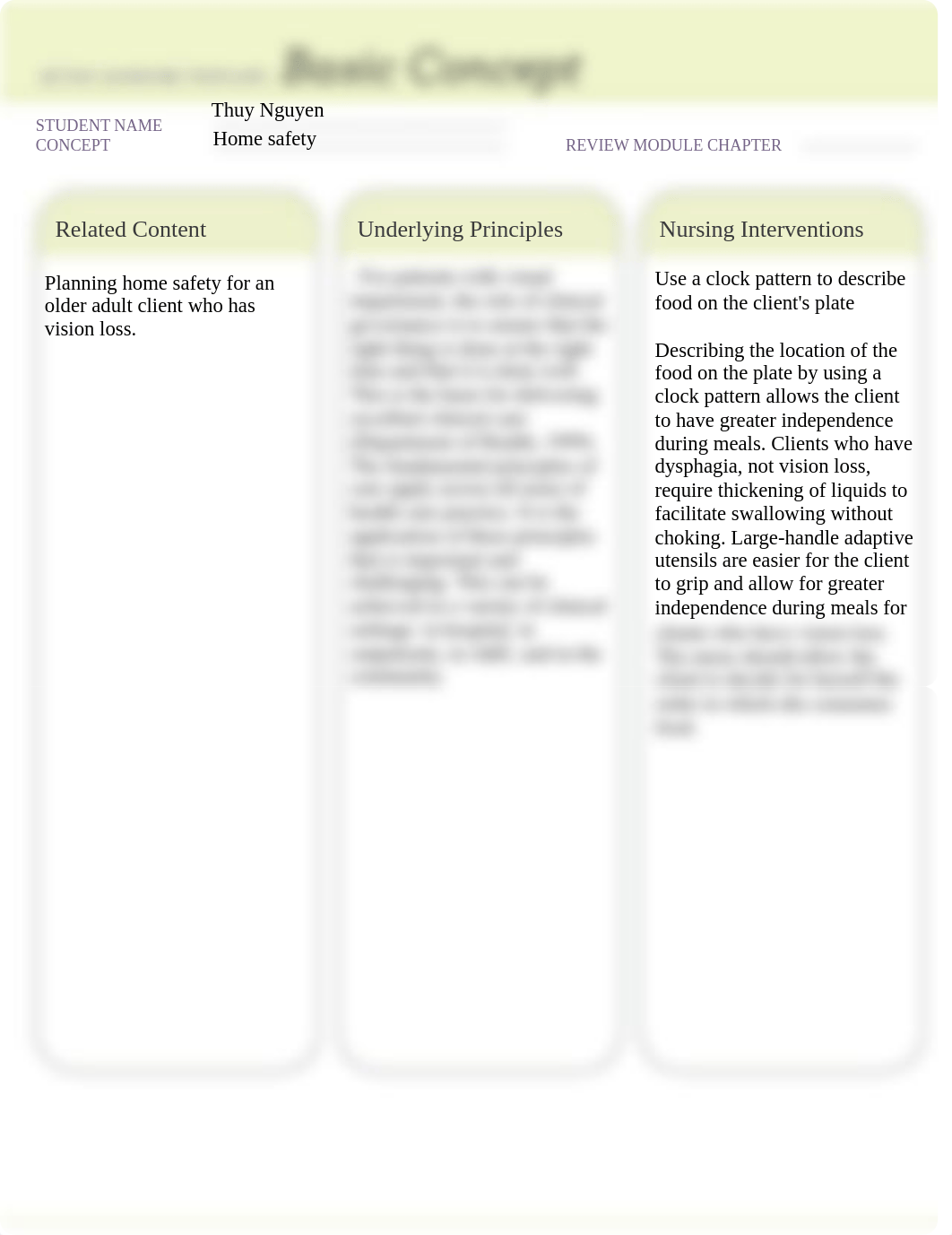 Home Safety_ Planning Home Safety For An Older Adult Client Who Has Vision Loss.pdf_d65bk8akluk_page1