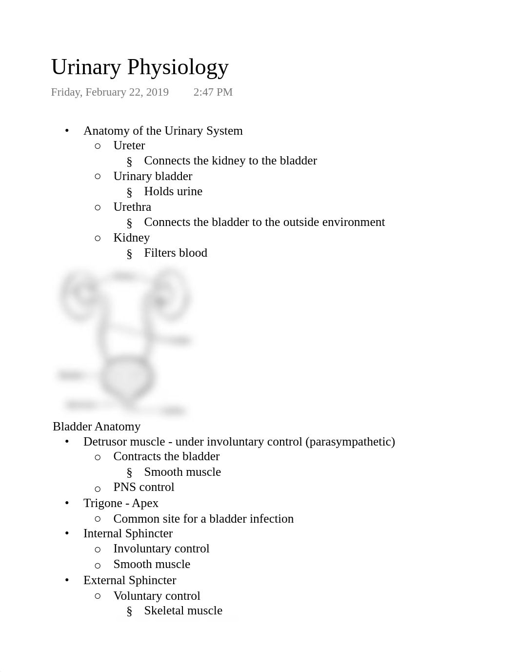 Urinary Physiology.pdf_d65bv9yxd7b_page1