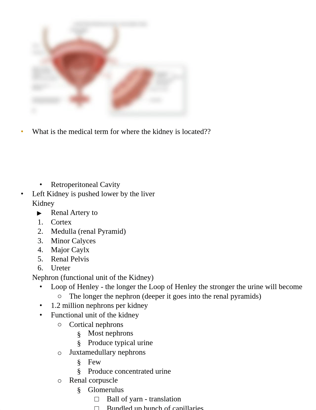 Urinary Physiology.pdf_d65bv9yxd7b_page3