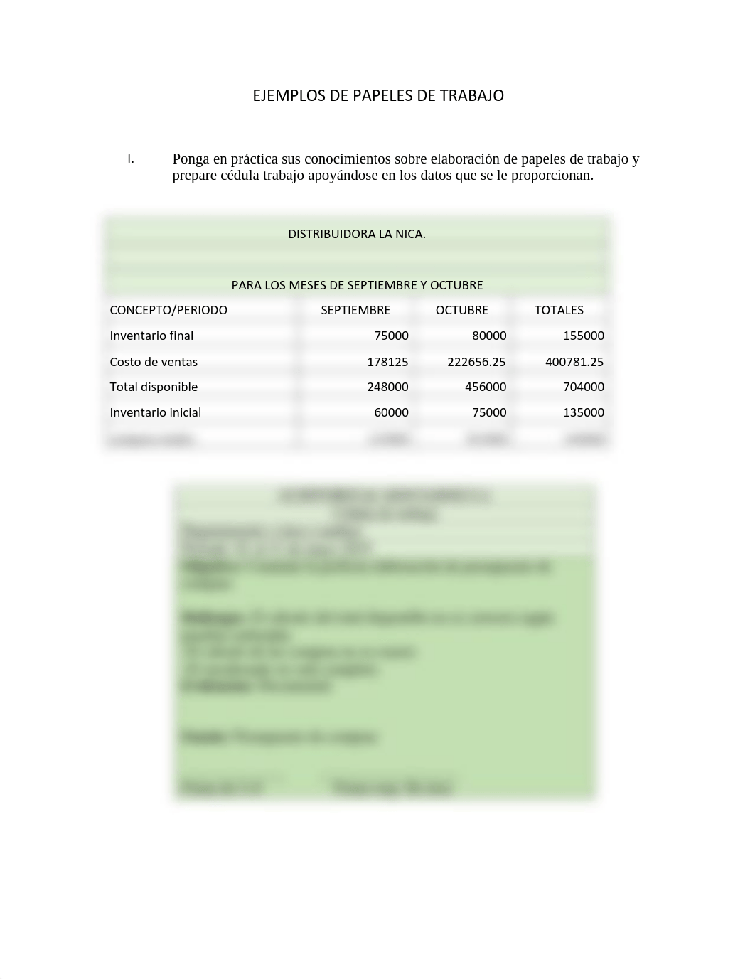 ejemplos-de-papeles-de-trabajo.pdf_d65kk2etzco_page1