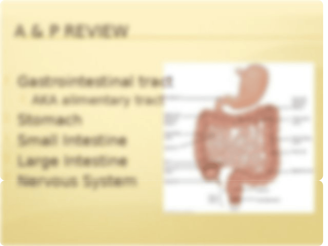 Bowel Elimination (1).pptx_d65t9zxxp6n_page3