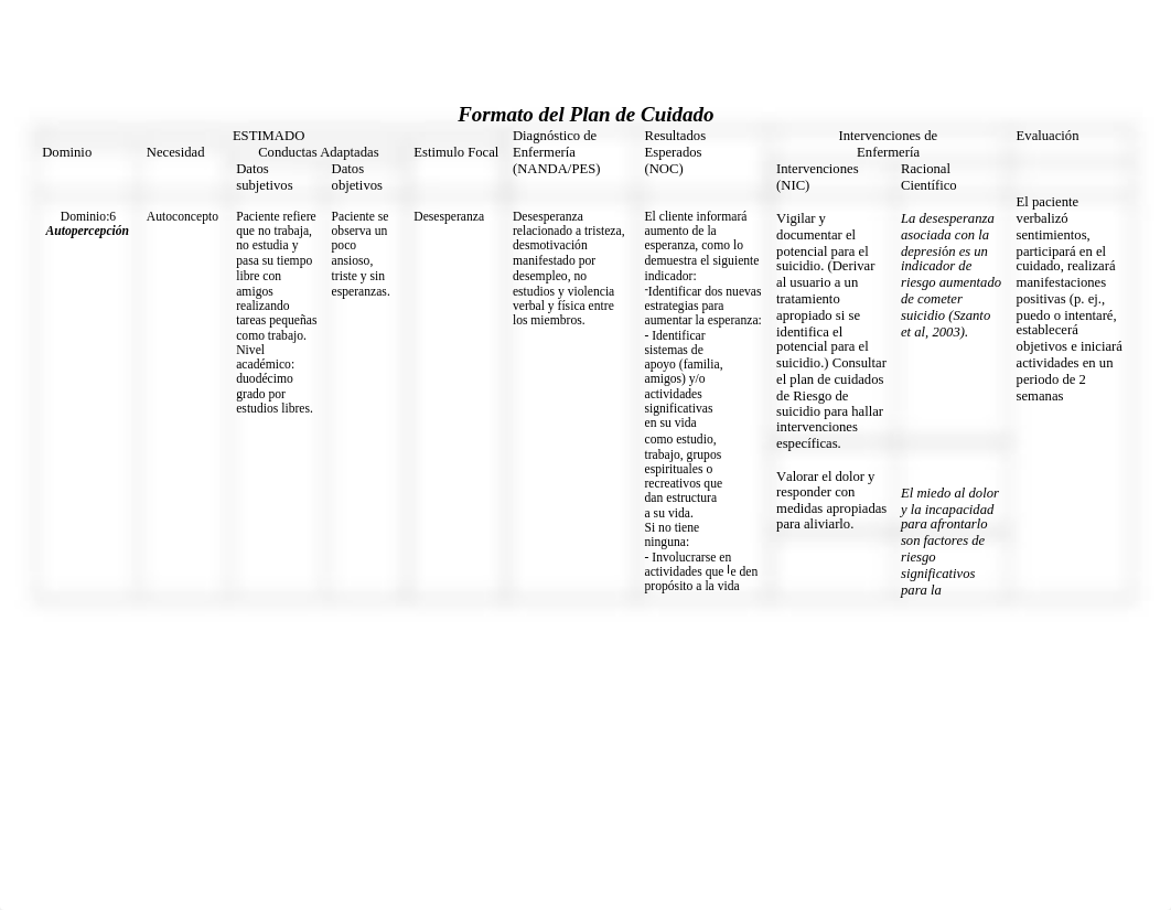 Plan de Cuidado COMUNIDAD.docx_d65vulz7xqa_page2