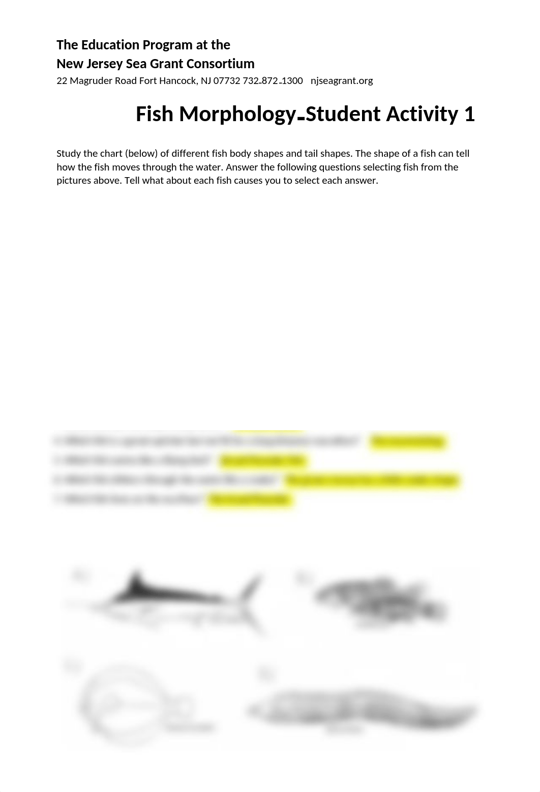 fish_morphology Student.docx_d65w5hzn0dt_page2