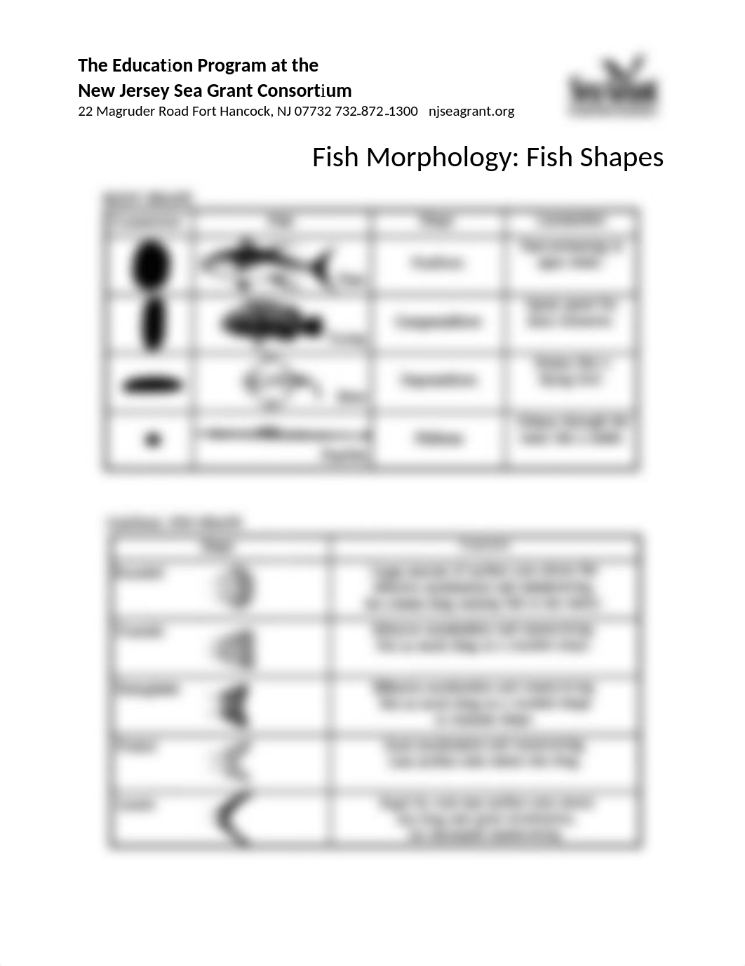 fish_morphology Student.docx_d65w5hzn0dt_page1