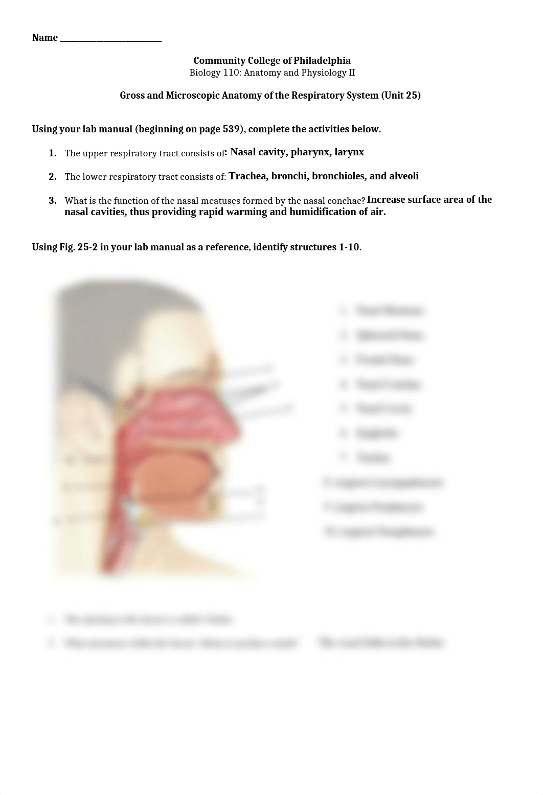 Bio 110 Online Anatomy of the Respiratory System.doc_d65x56416ao_page1