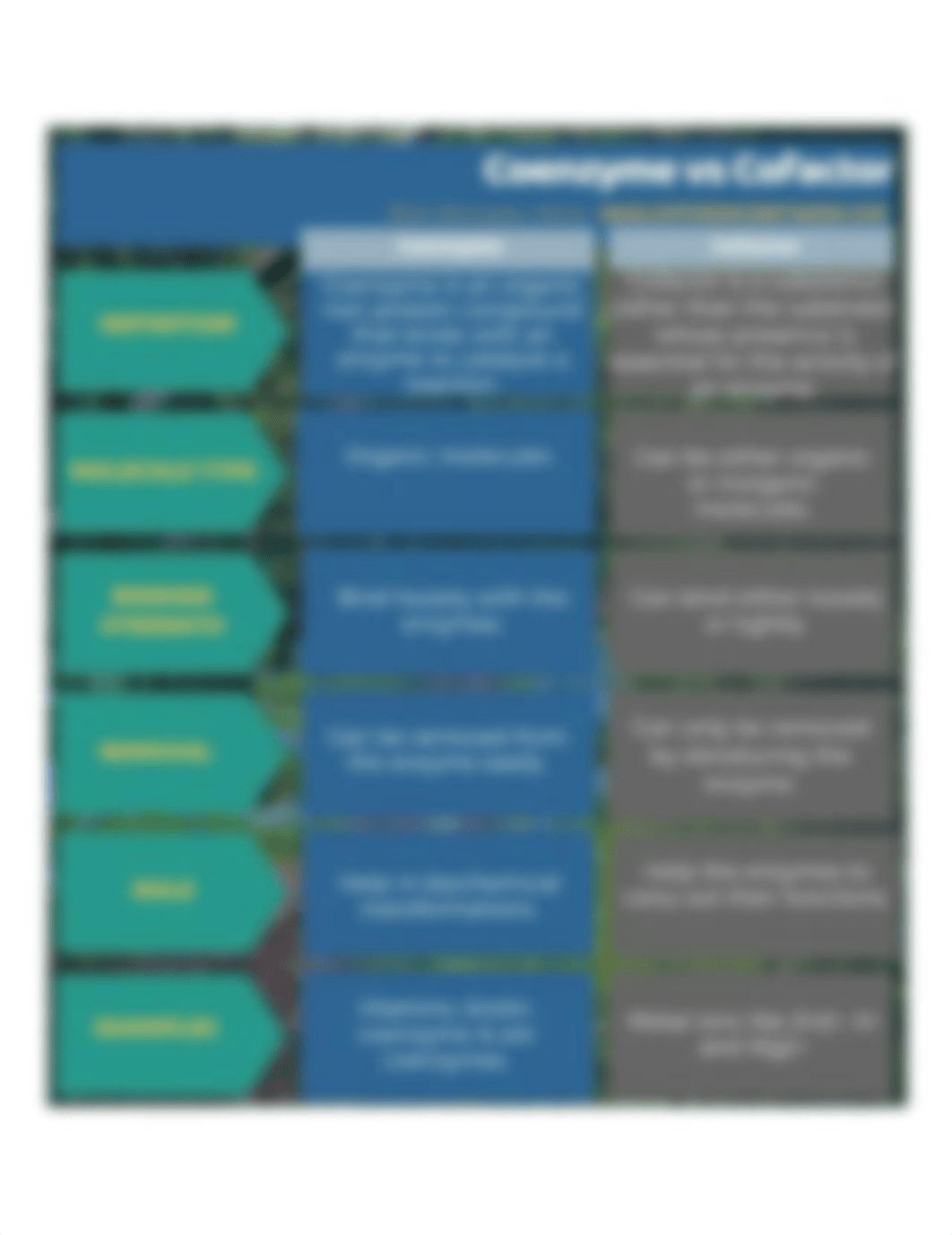 Difference-Between-Coenzyme-and-Cofactor-Tabular-Form.jpg_d663eiy77yl_page1