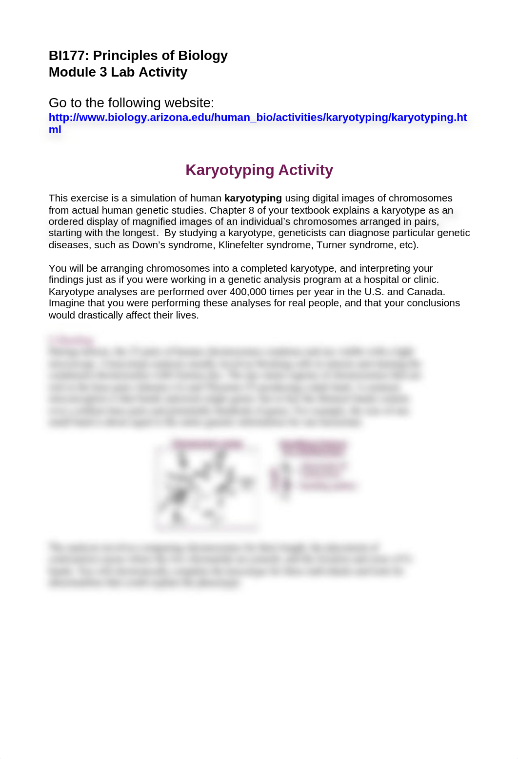 Lab 3 Karyotyping Lab_d66c3ev19hr_page1