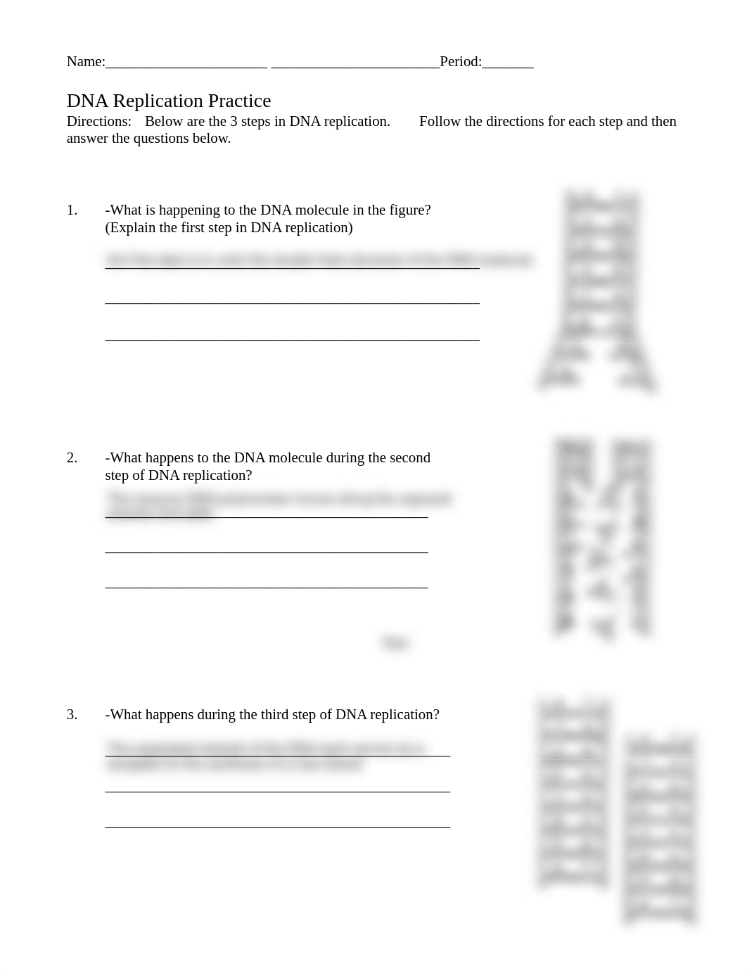 DNA Replication Practice WS.pdf_d66felxc9ze_page1