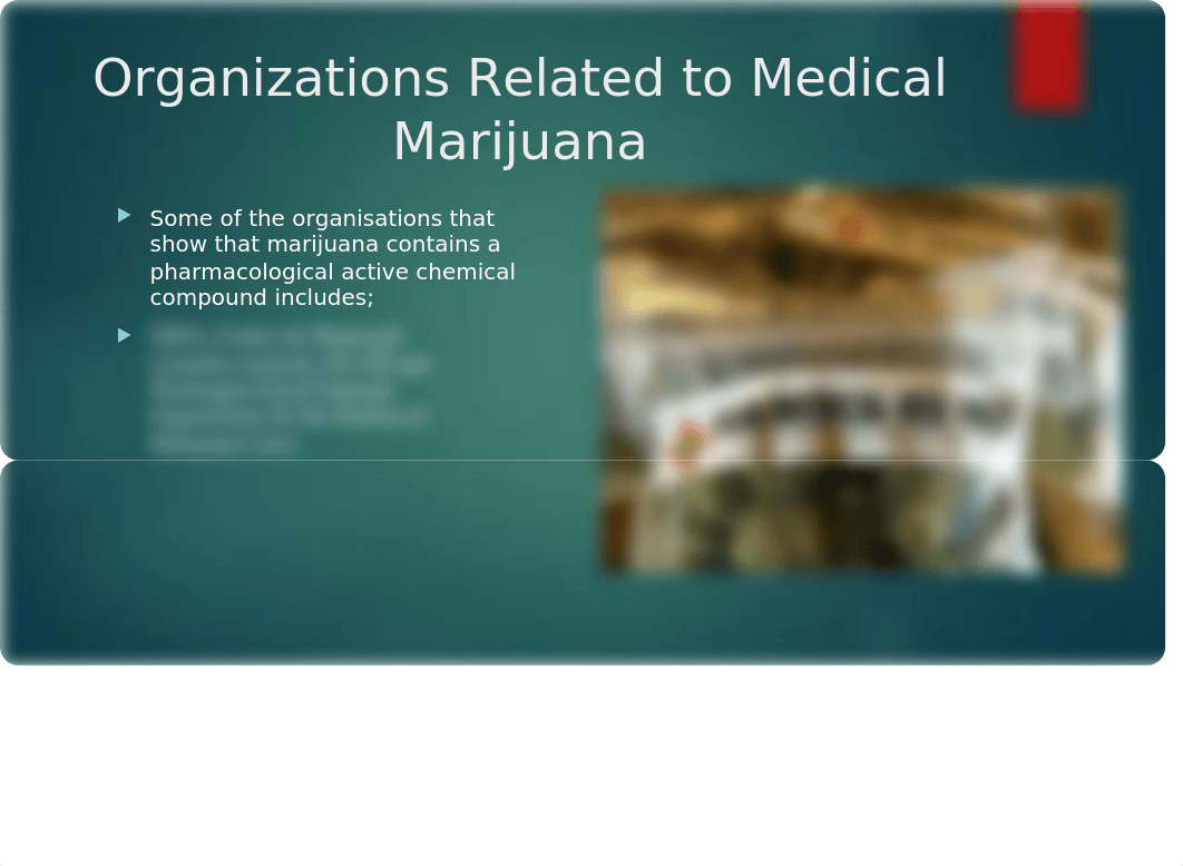 Medicinal Marijuana PowerPoint.pptx_d66p6dr1p3s_page4