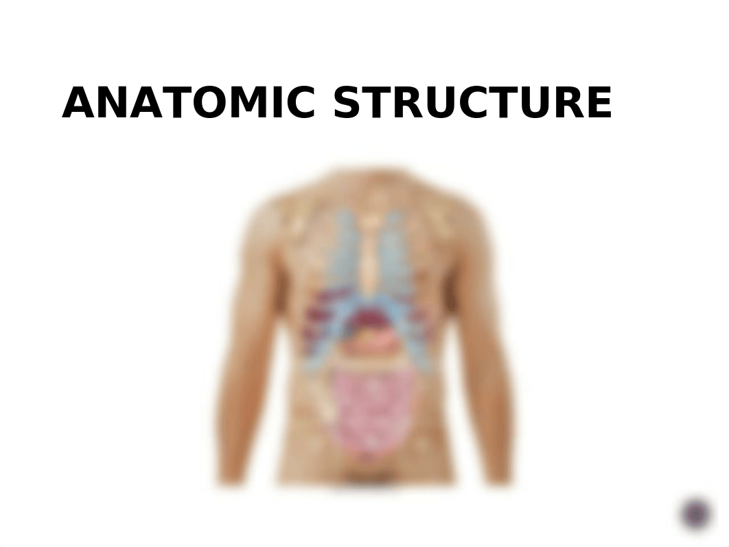 Abdomen Slides.pptx_d66wdgkuqur_page4