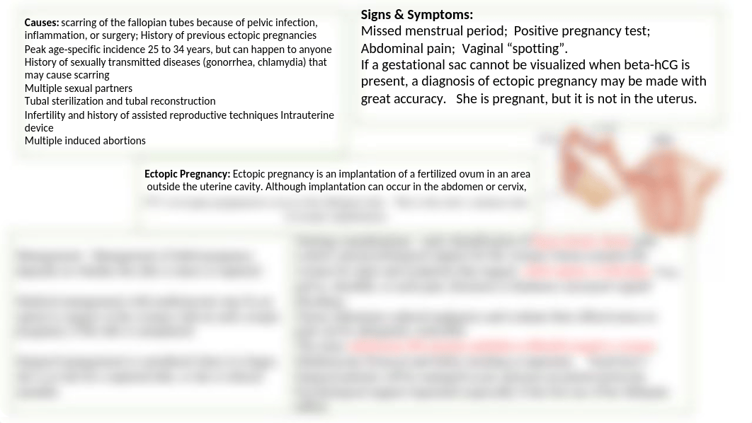 Ectopic Pregnancy concept map.pptx_d678wc8zyig_page2