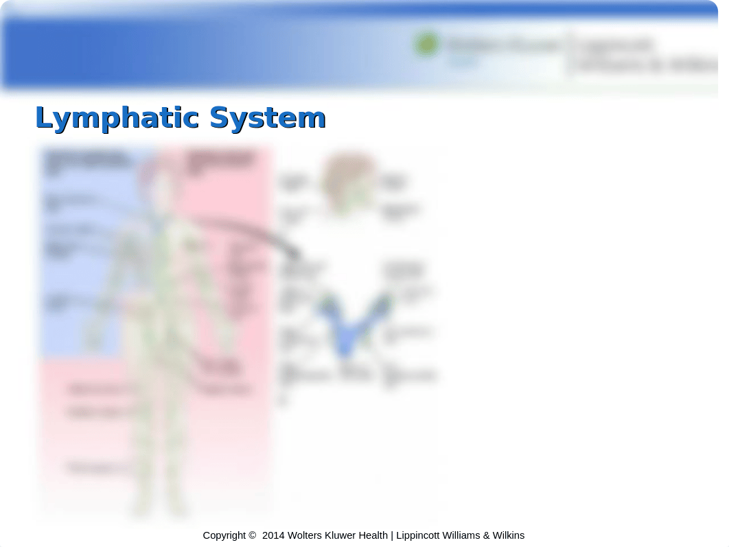 Med-Surg PPT_Chapter_32.pptx_d679p04bjnf_page2