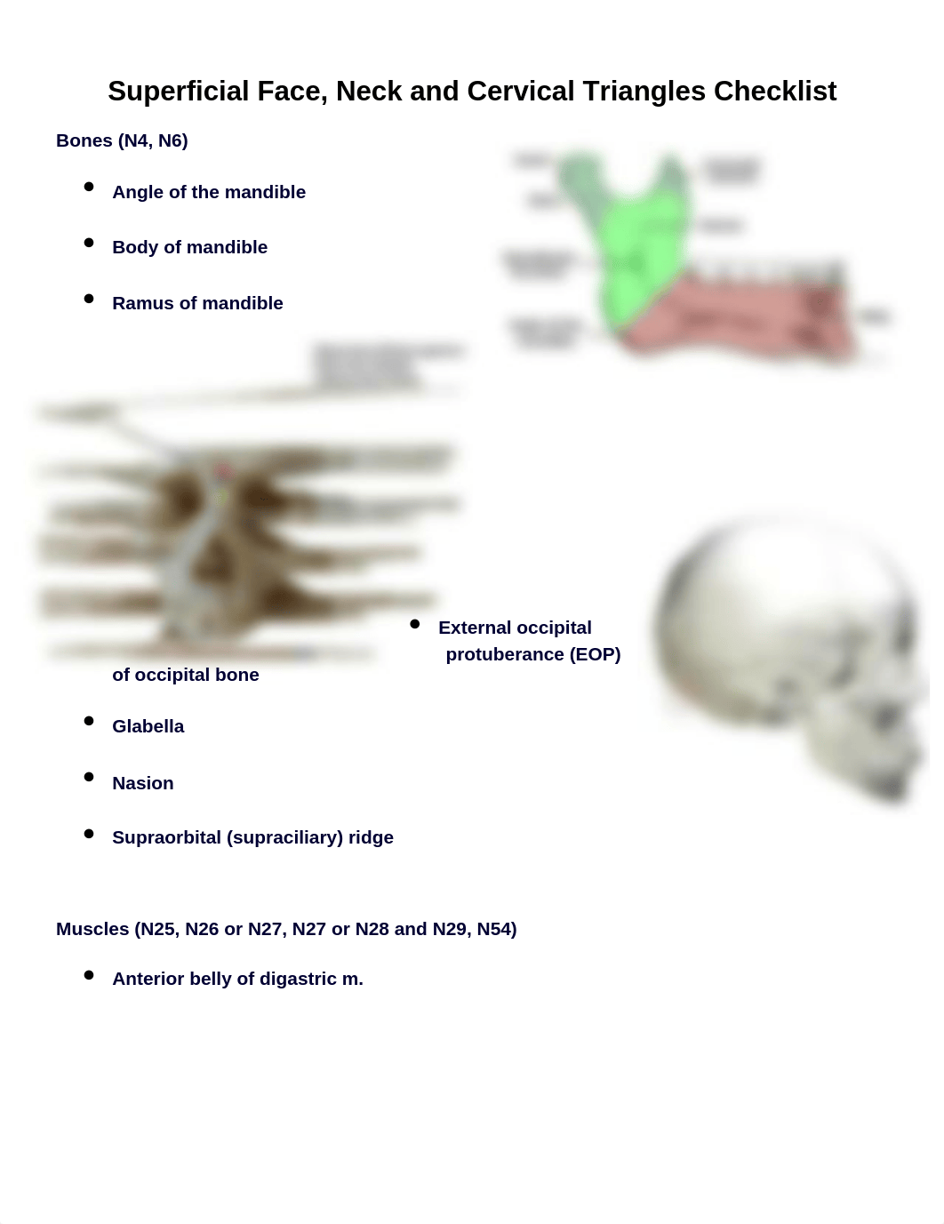 Head Neck Skull Checklist.docx_d679zfdxgj6_page1