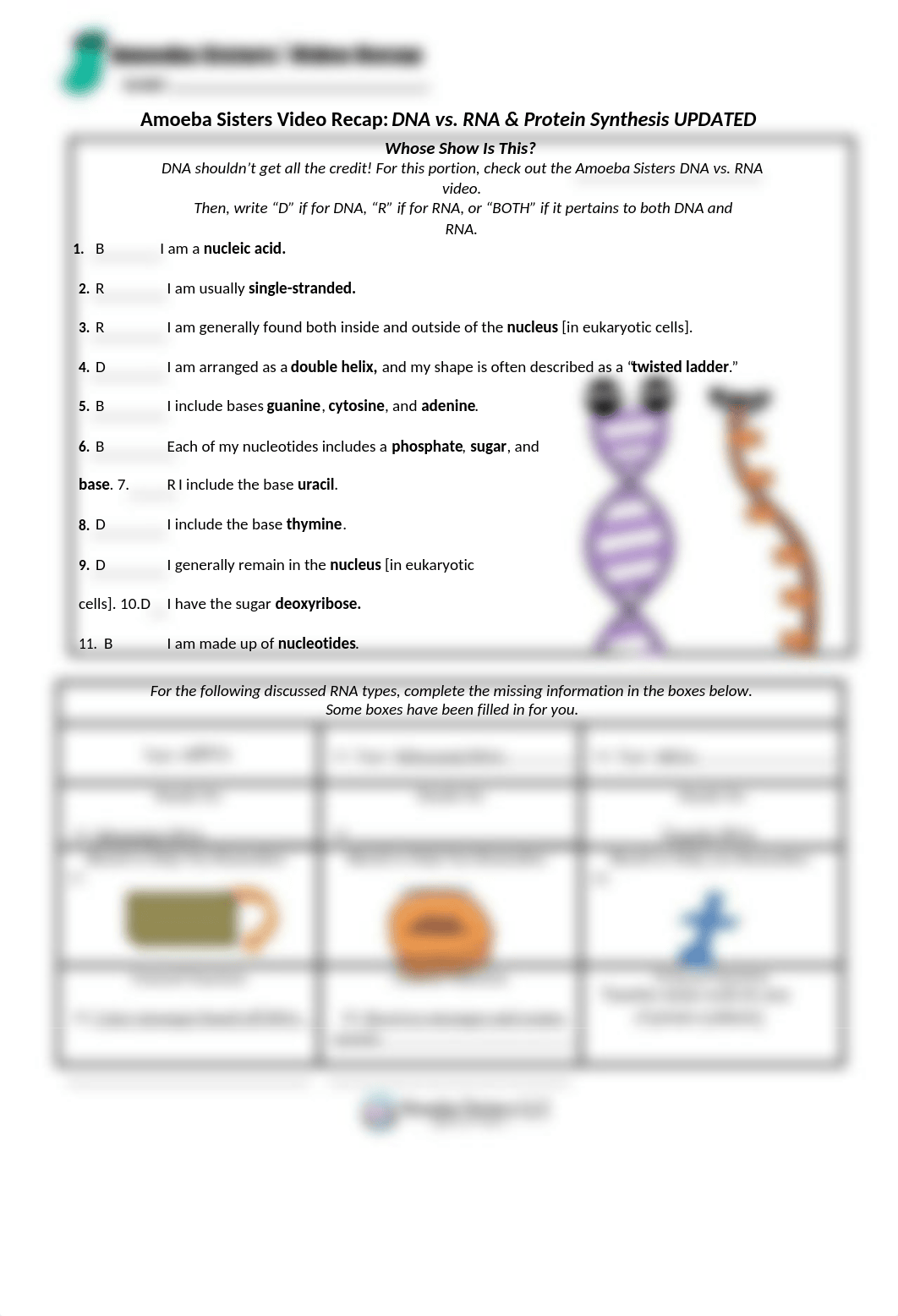 DNA vs RNA _protein synthesis_.docx_d67e80lryu0_page1