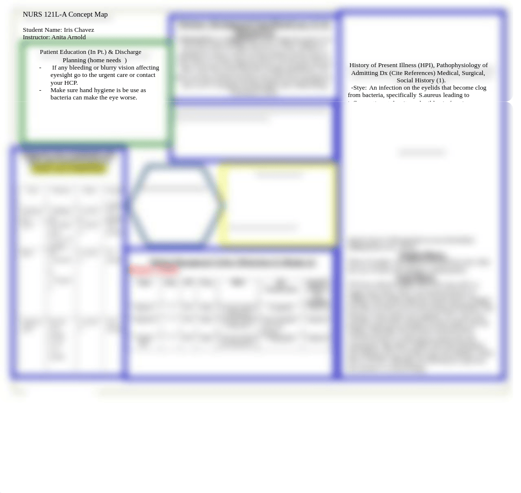 Nursing Concept Map NURS 121LA SW updated .pdf_d67kl1k6zts_page1