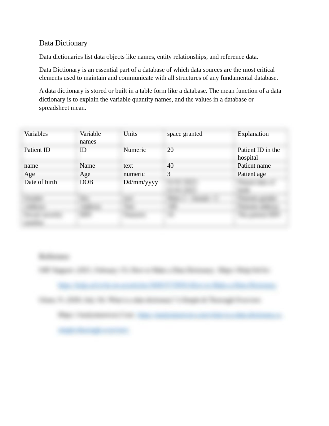 Data Dictionary.docx_d67o1obvdk4_page1