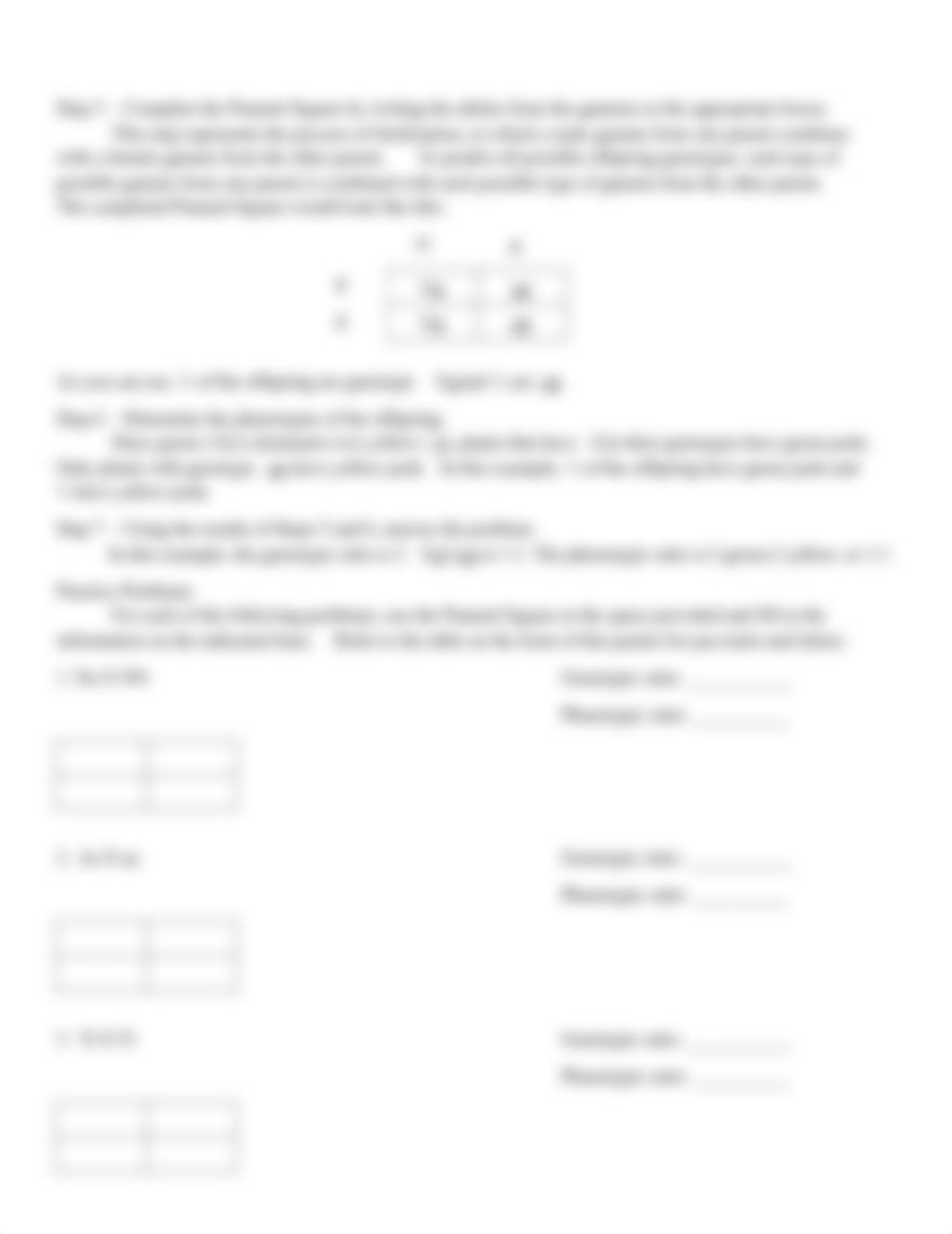 Using Punnett Squares to Predict the Outcomes of Crosses.pdf_d67rpbdwbbh_page2