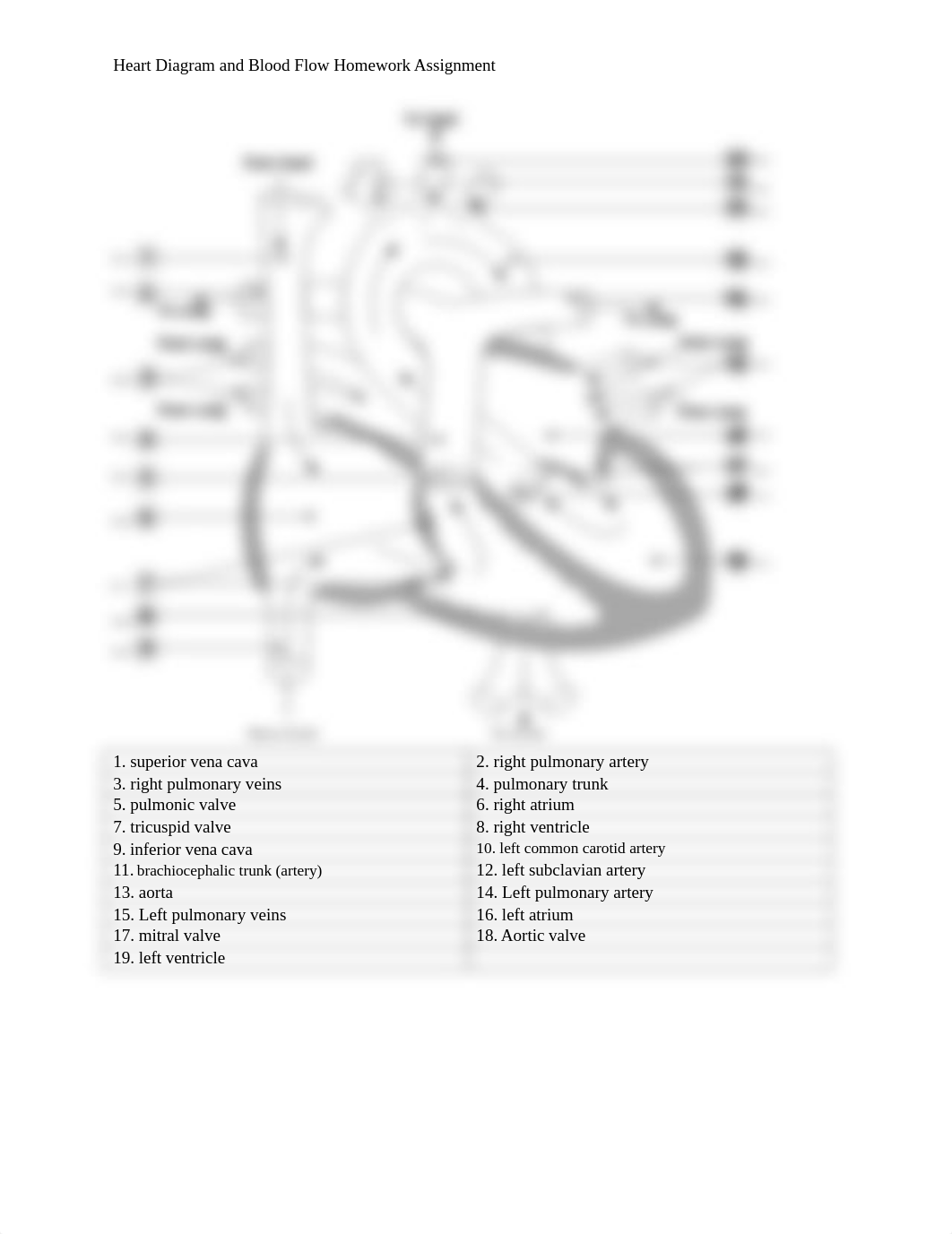 Heart Diagram and Blood Flow Worksheet.docx_d67tzpeqq71_page1