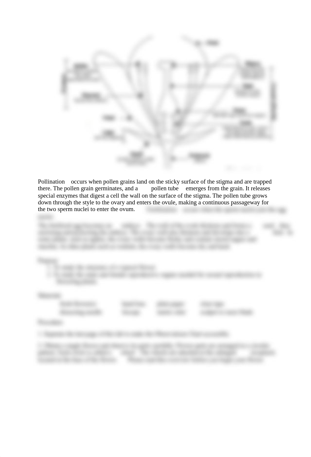 disection flower.pdf_d67wpv1ook7_page2