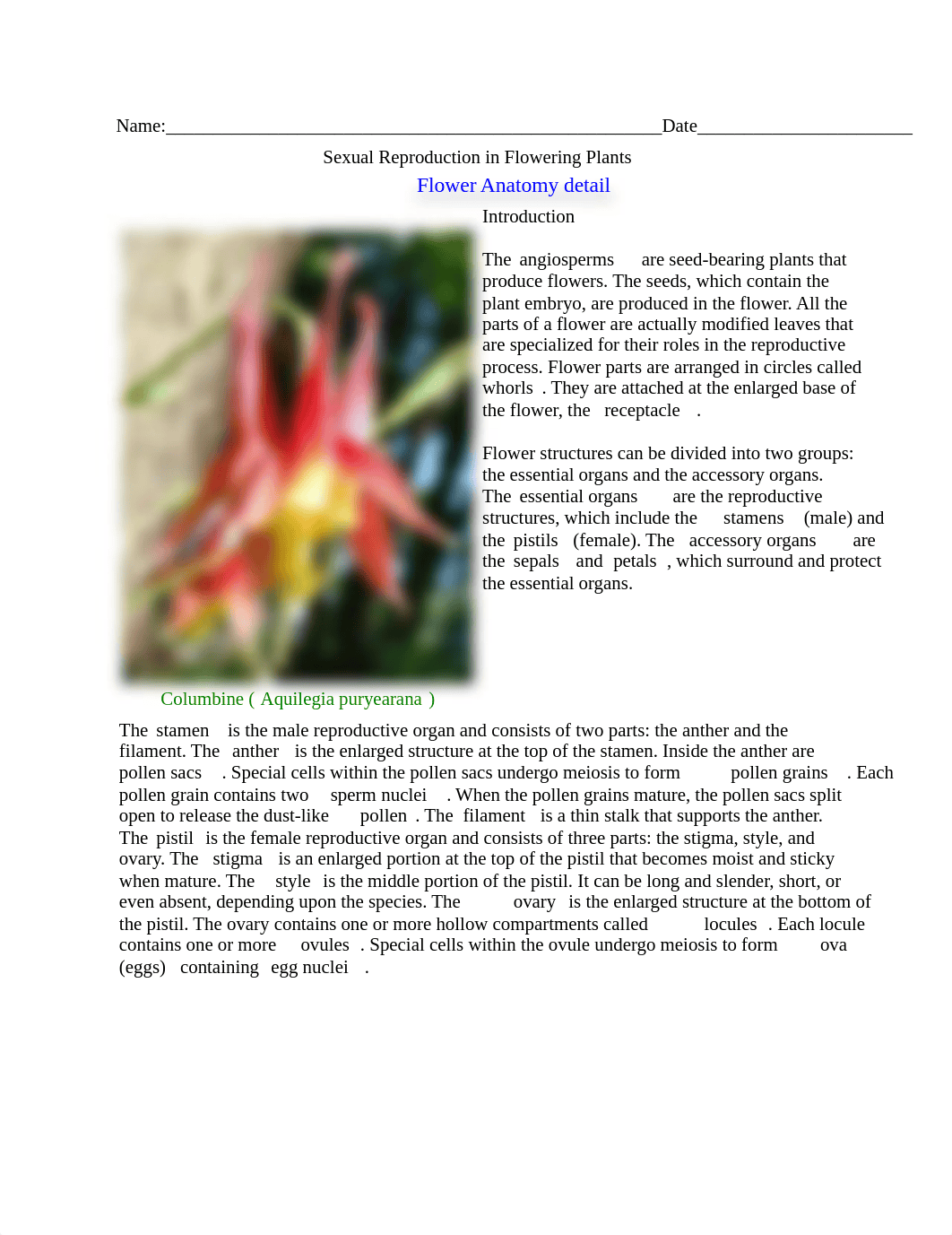 disection flower.pdf_d67wpv1ook7_page1