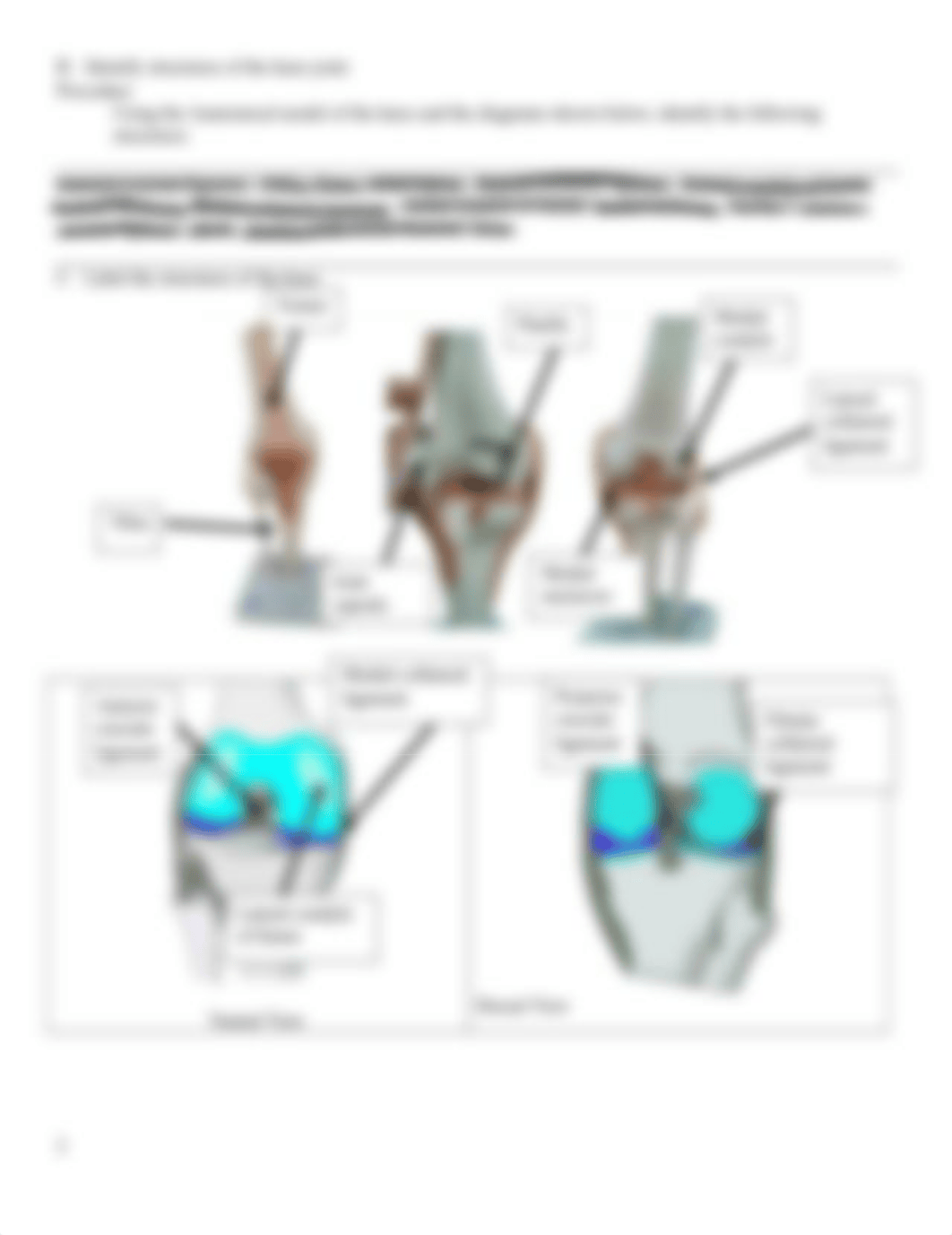 Joint Lab Ch. 9.docx_d67xfne3b9x_page2