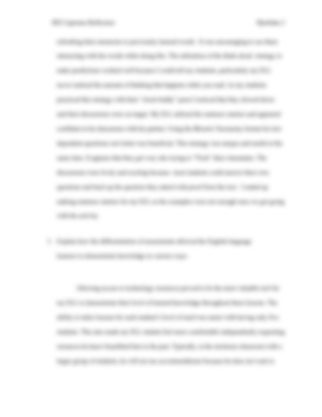 C_Djerbaka_SEI_Reflection__d6885s1txb5_page2