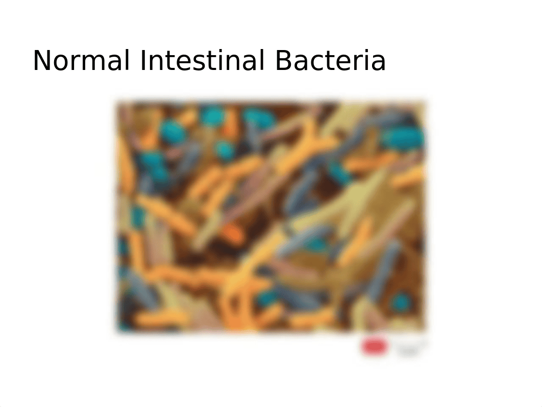 BIOL 2300 ch_1_lecture_PG Edit (1).pptx_d68as7kp410_page2