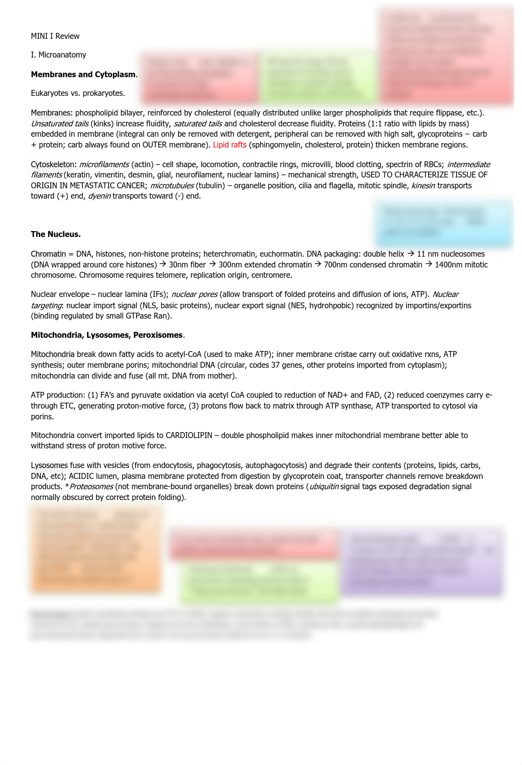 Mini I Condensed.pdf_d68esx50k19_page1