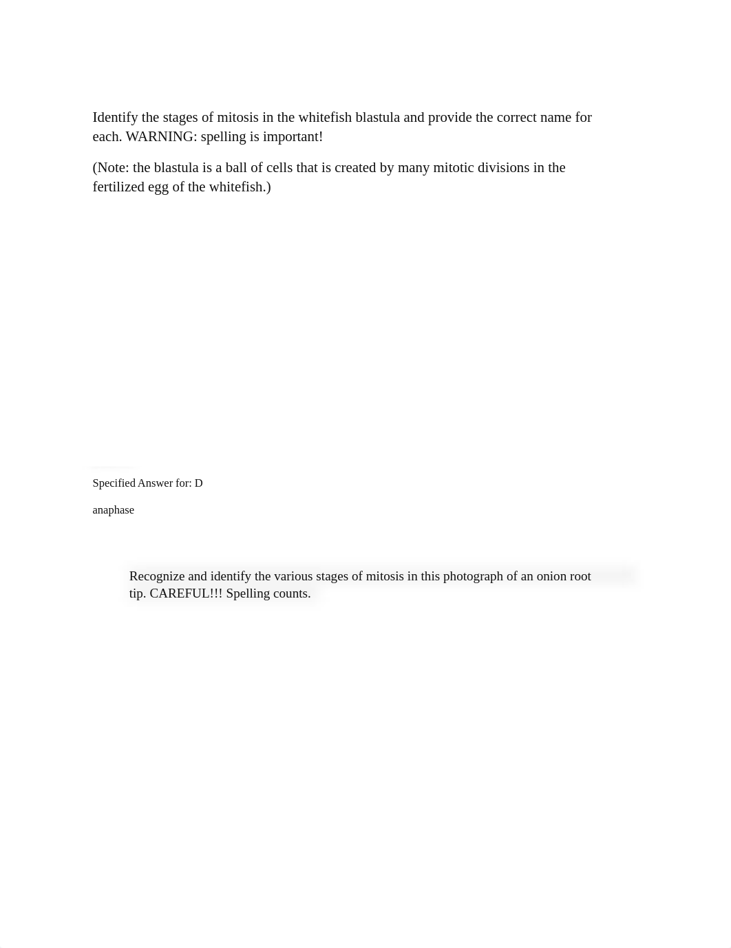 Identify the stages of mitosis.pdf_d68exr9angp_page1