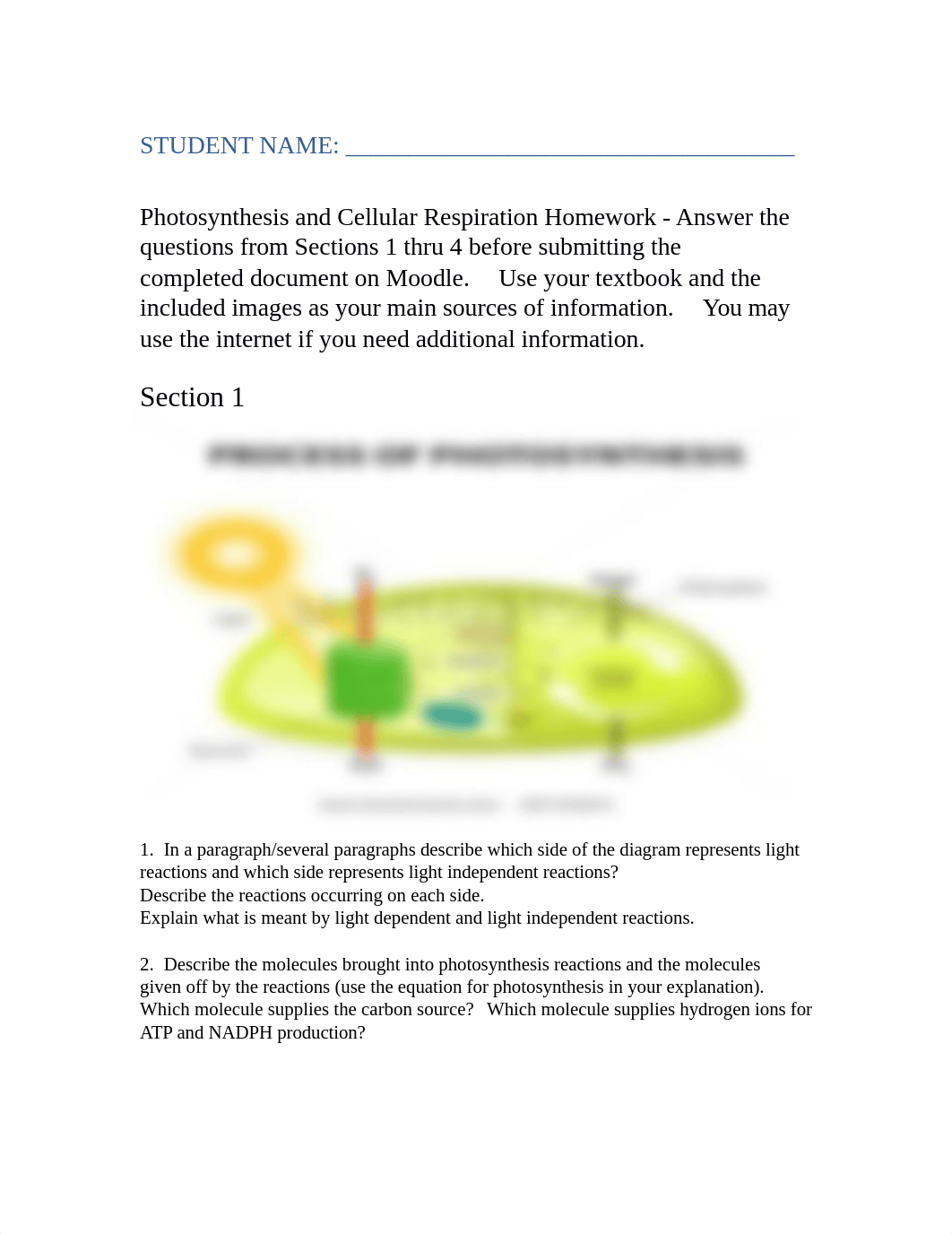 Bio 110_Module 4 Photosynthesis and CR (4).docx_d68pl3g1mmo_page1