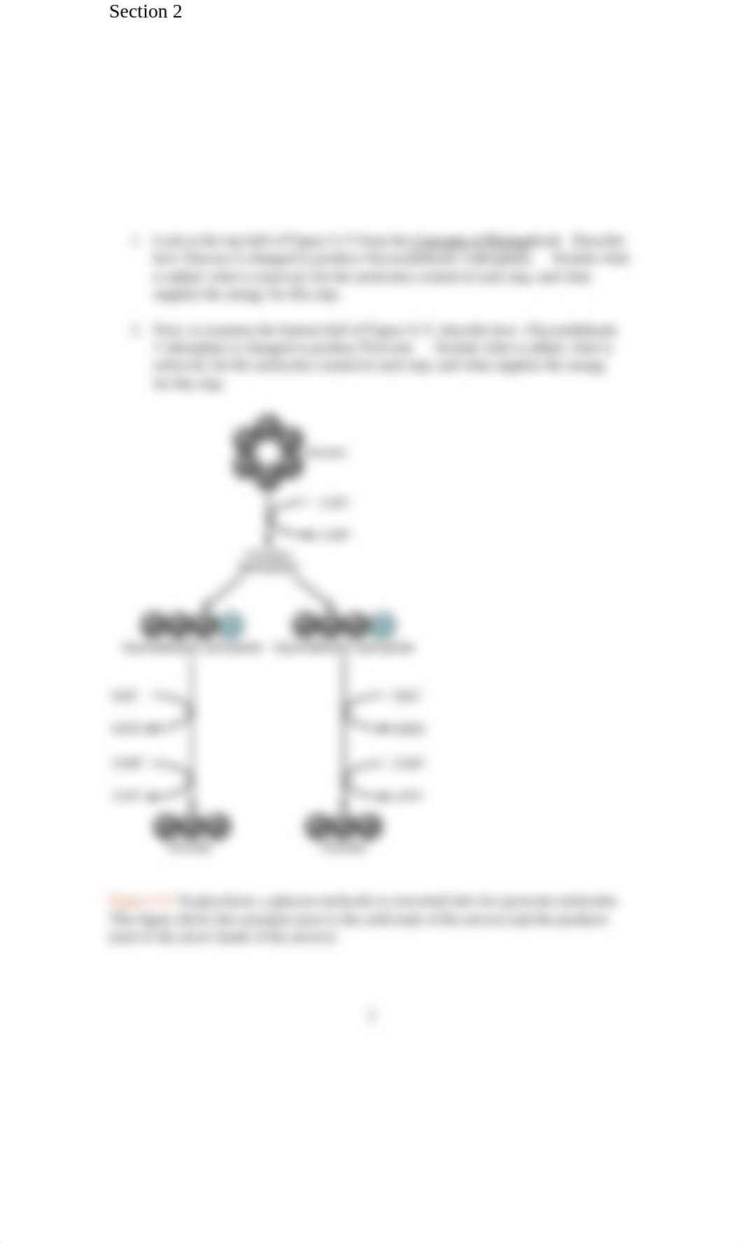 Bio 110_Module 4 Photosynthesis and CR (4).docx_d68pl3g1mmo_page2