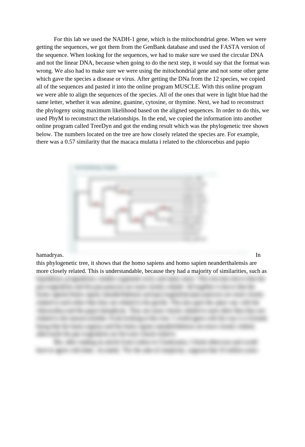 Phylogenetic Tree Primate DNA Lab (1).docx_d697916aq5q_page1