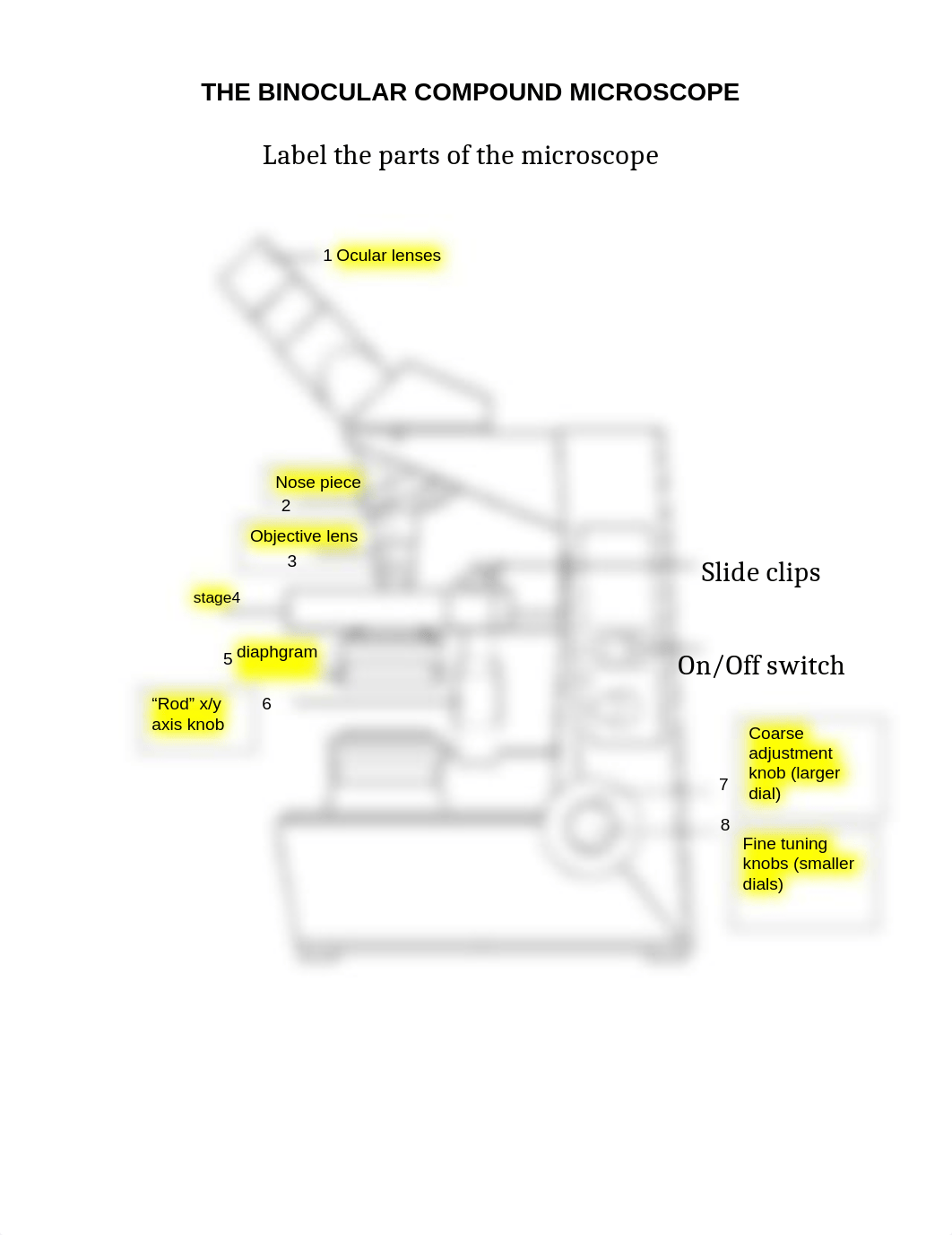 Lab 4 Microscopy cell structure copy - Copy.docx_d699hua61bj_page2