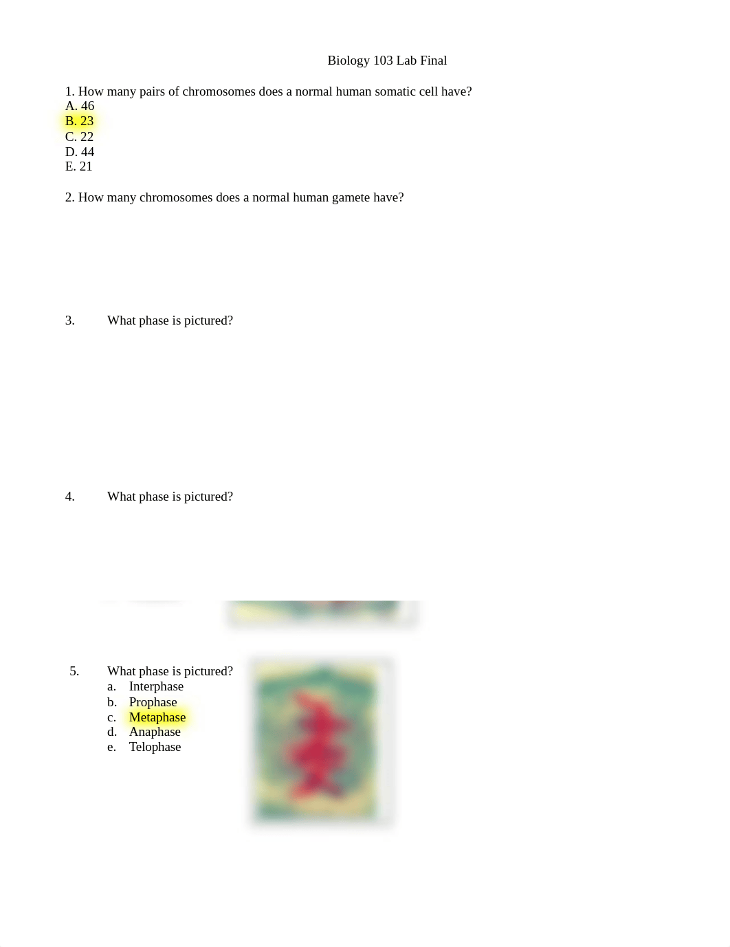 Lab Final.docx_d69a4mfvy4x_page1