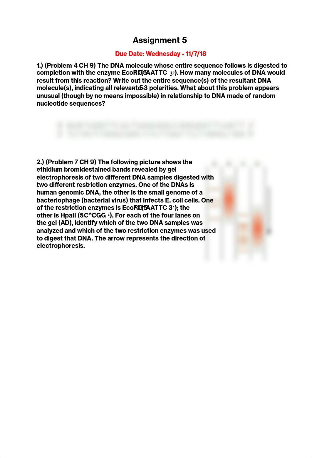 Assignment 5 PDF.pdf_d69a4yo5kyq_page1