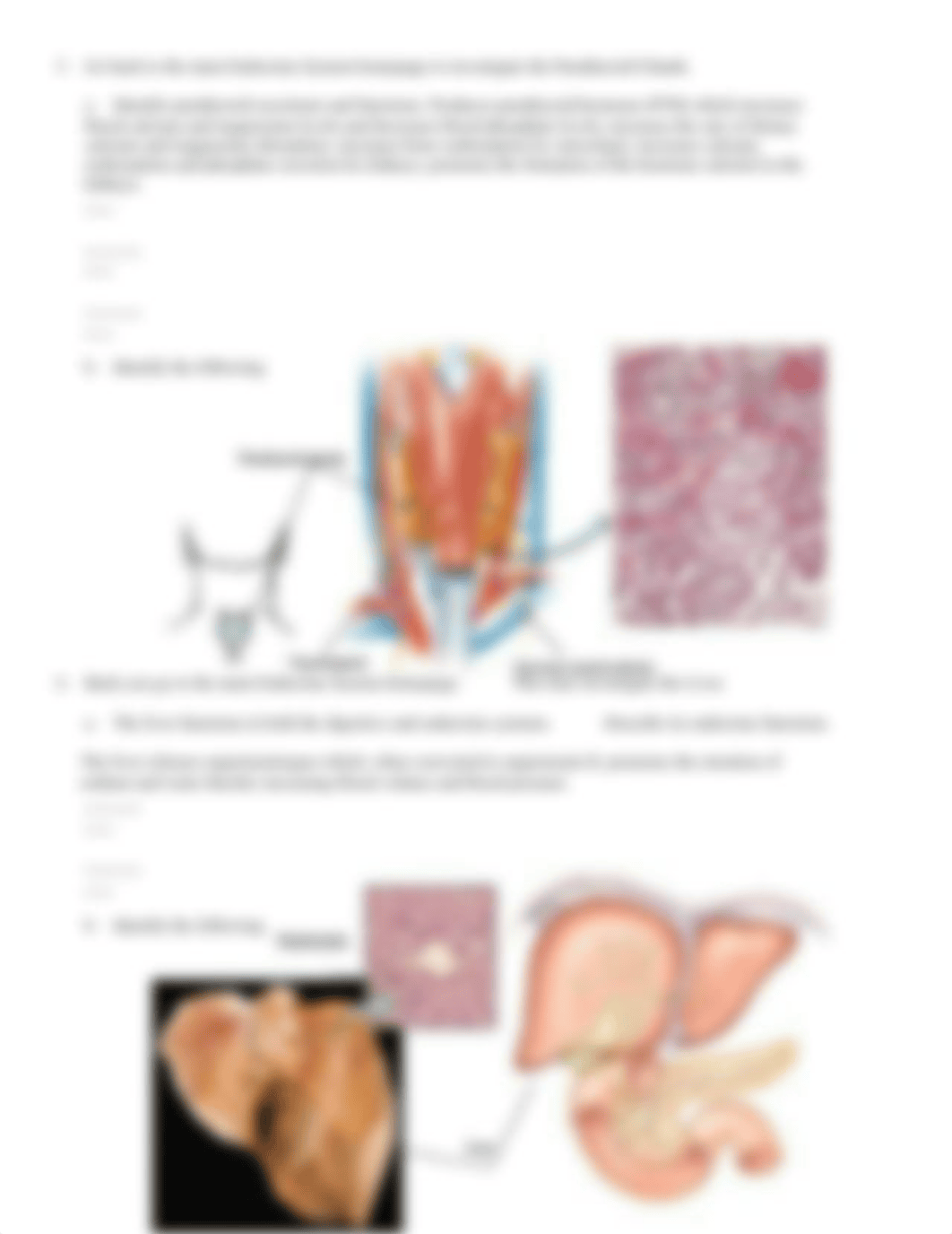 BIOS252 Week 7 Lab Exercise_d69e2a68qyc_page3