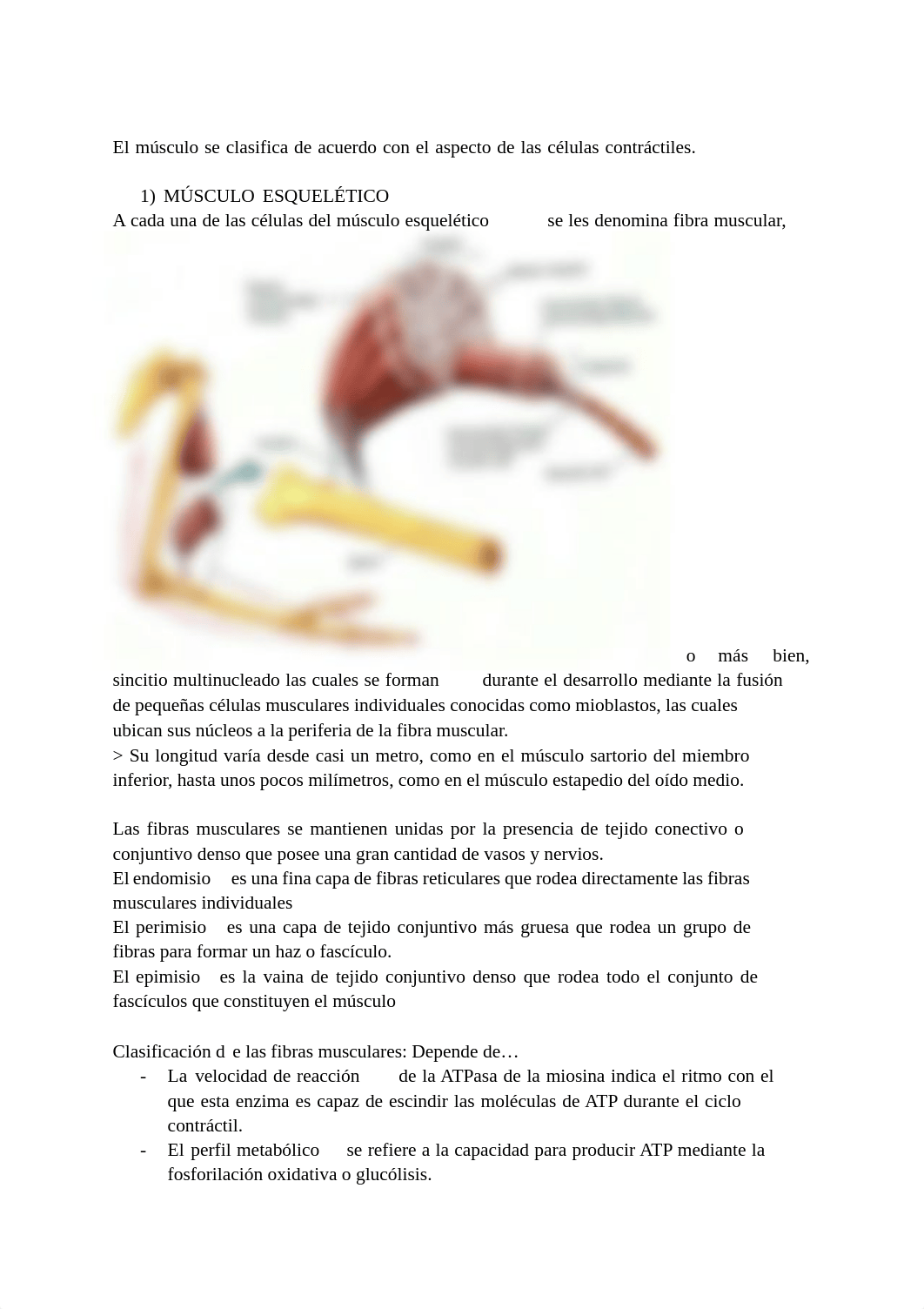 Resumen de Tejido Muscular .pdf_d69fbc00ccj_page4