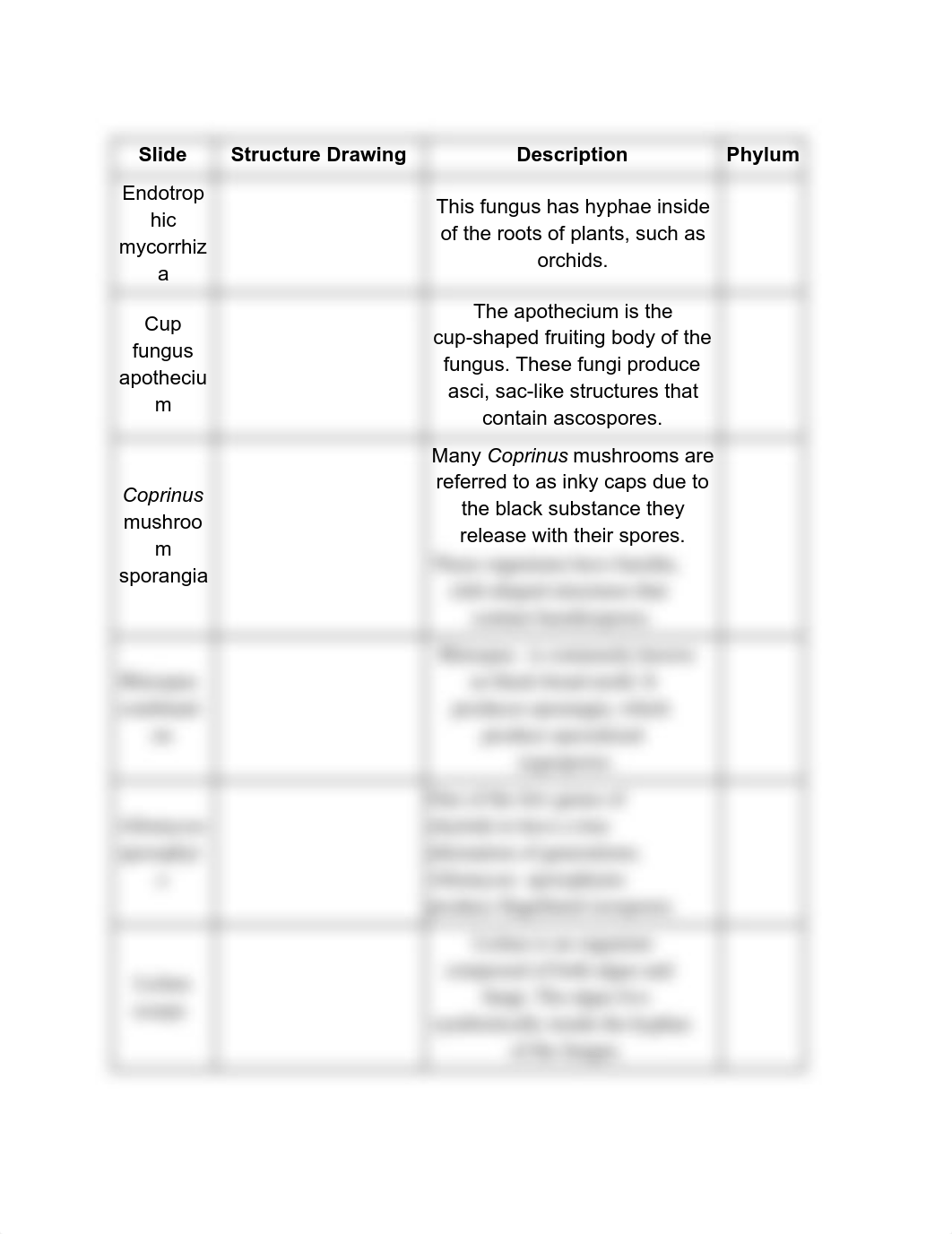 Survey Of Fungi.pdf_d69gdro10mt_page1