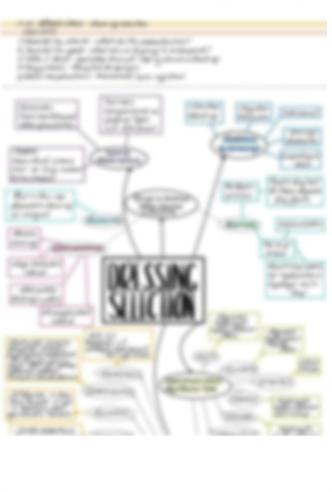 Wound Care Concept Map.pdf_d69kslil8rl_page2